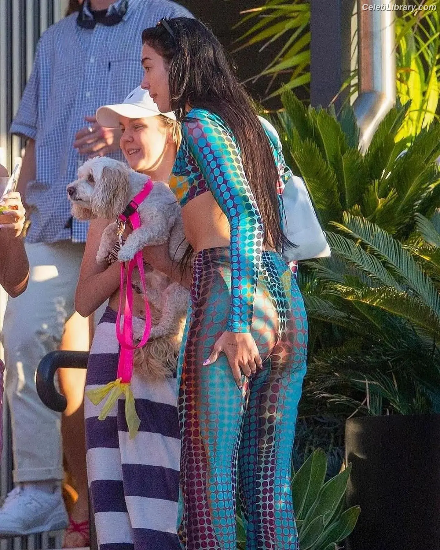 Dua Lipa photo 13 of 7813