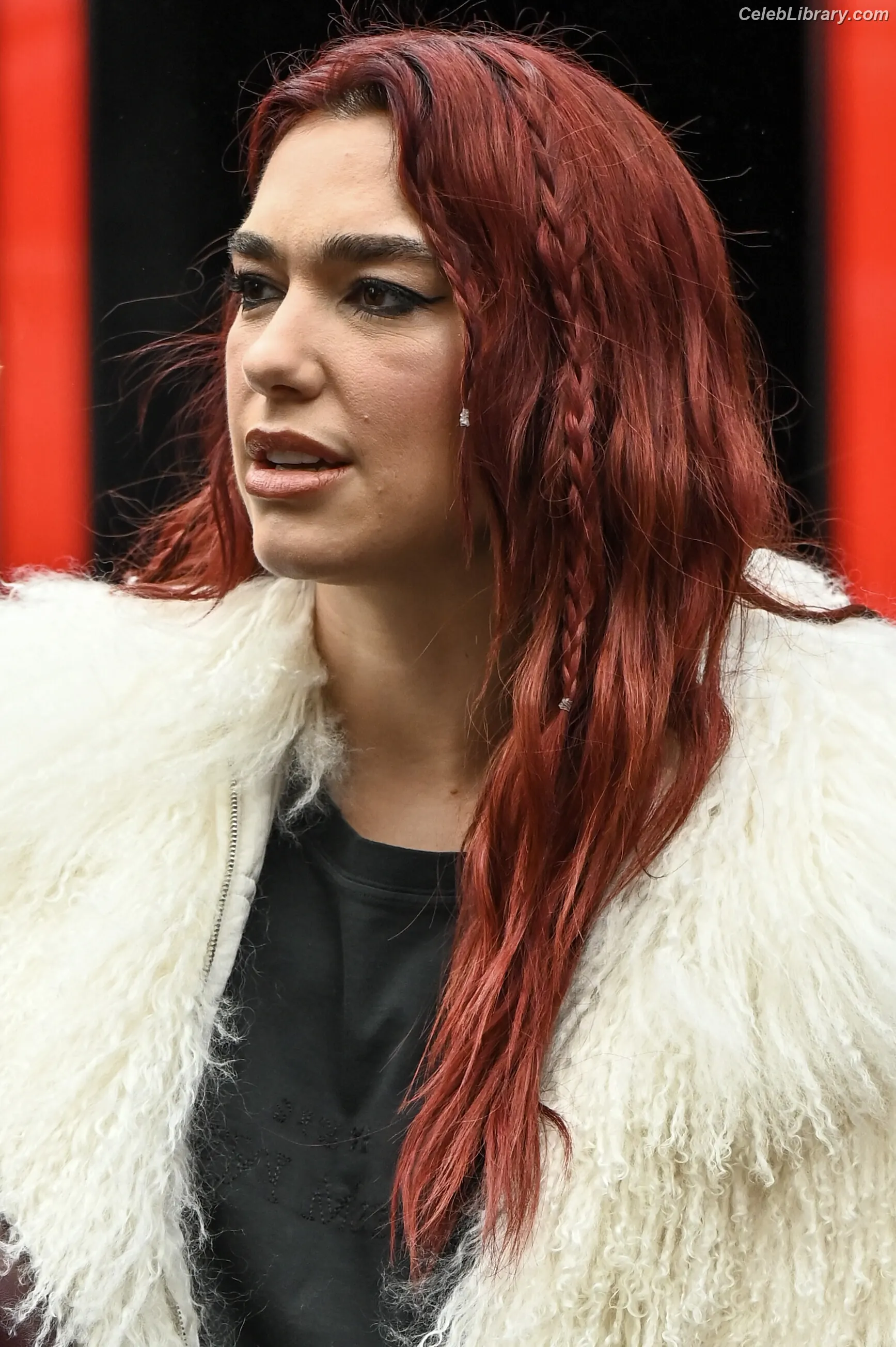 Dua Lipa photo 17 of 7813