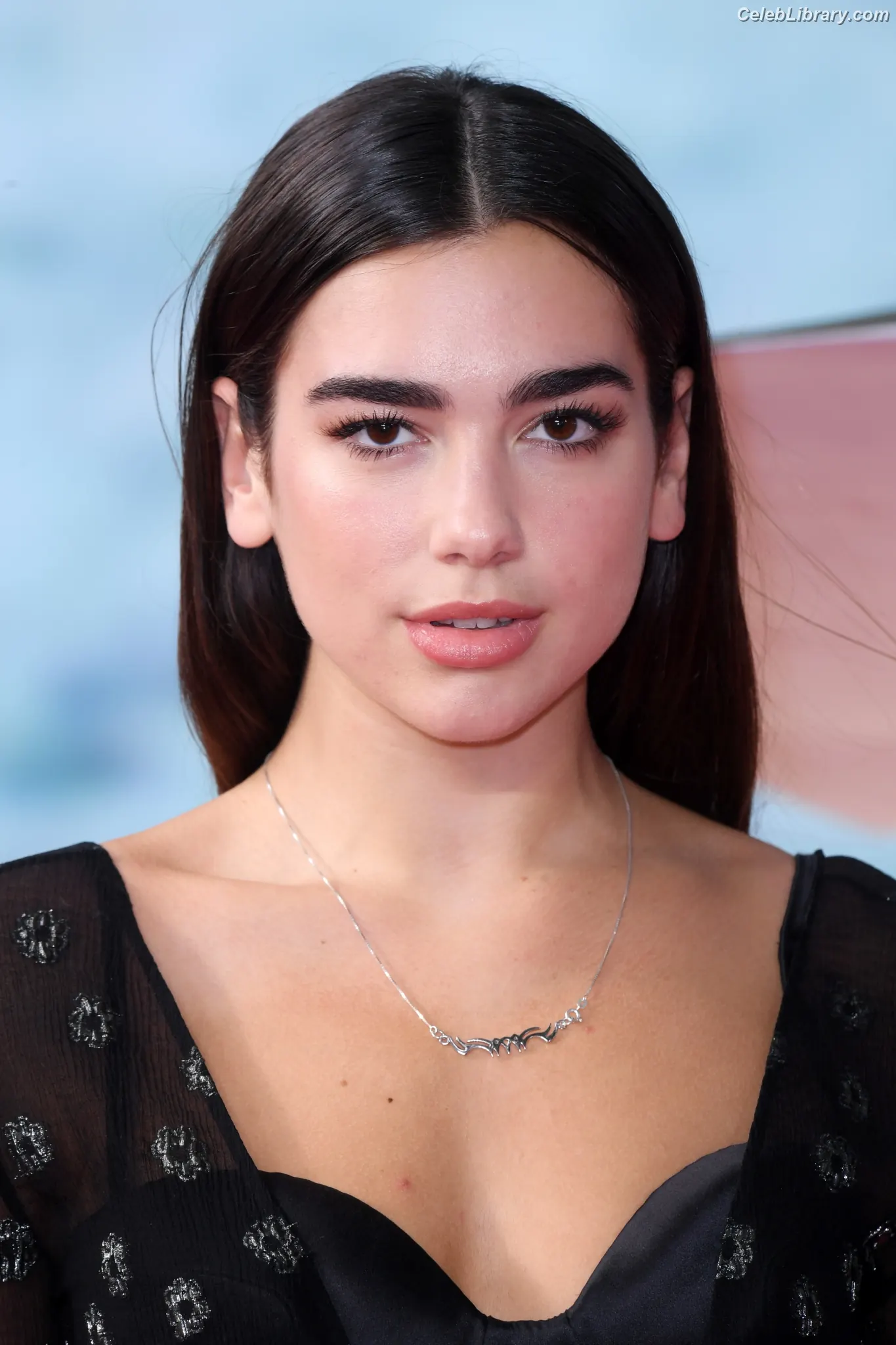 Dua Lipa photo 1 of 7813