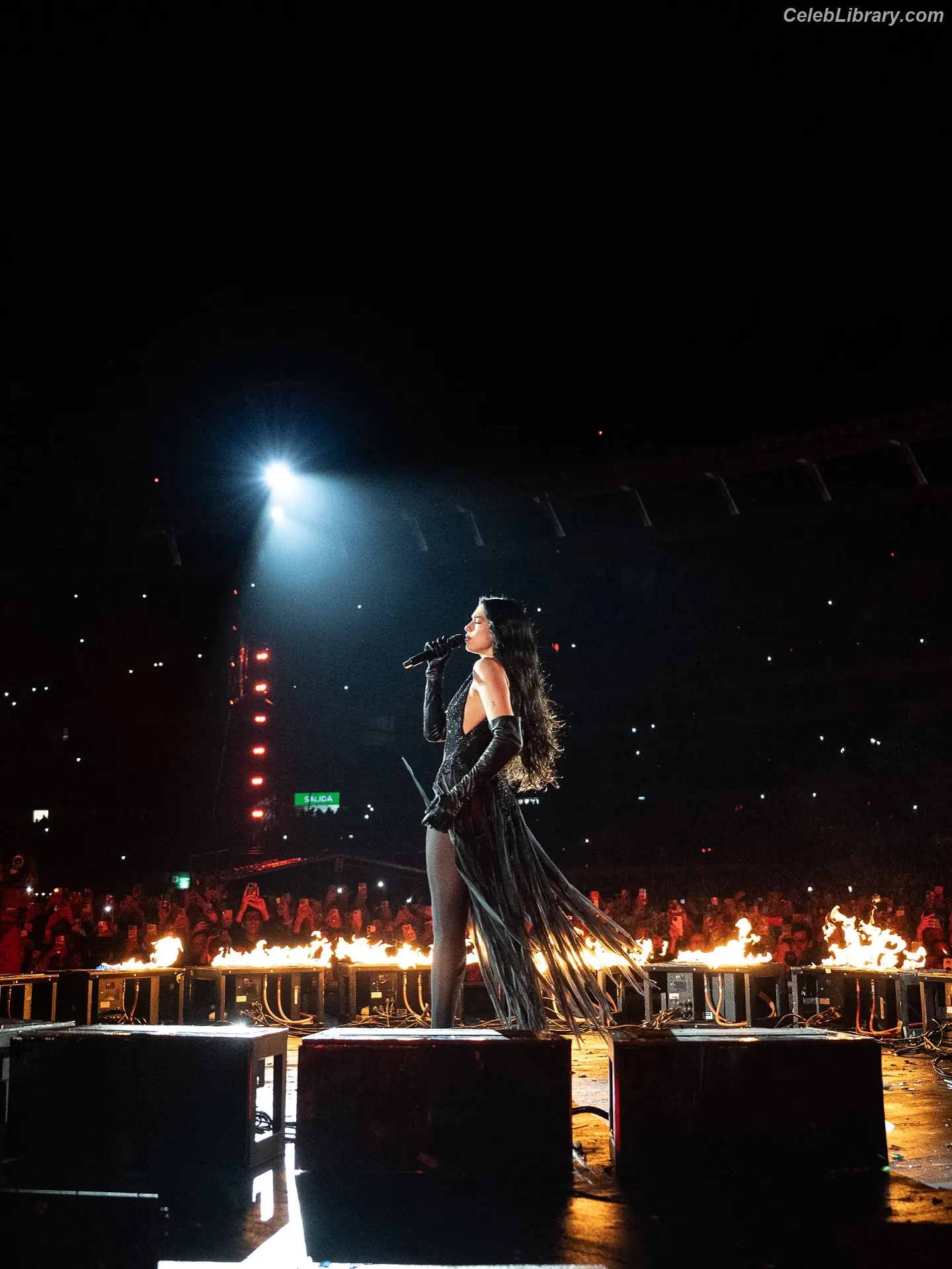 Dua Lipa photo 16 of 7813