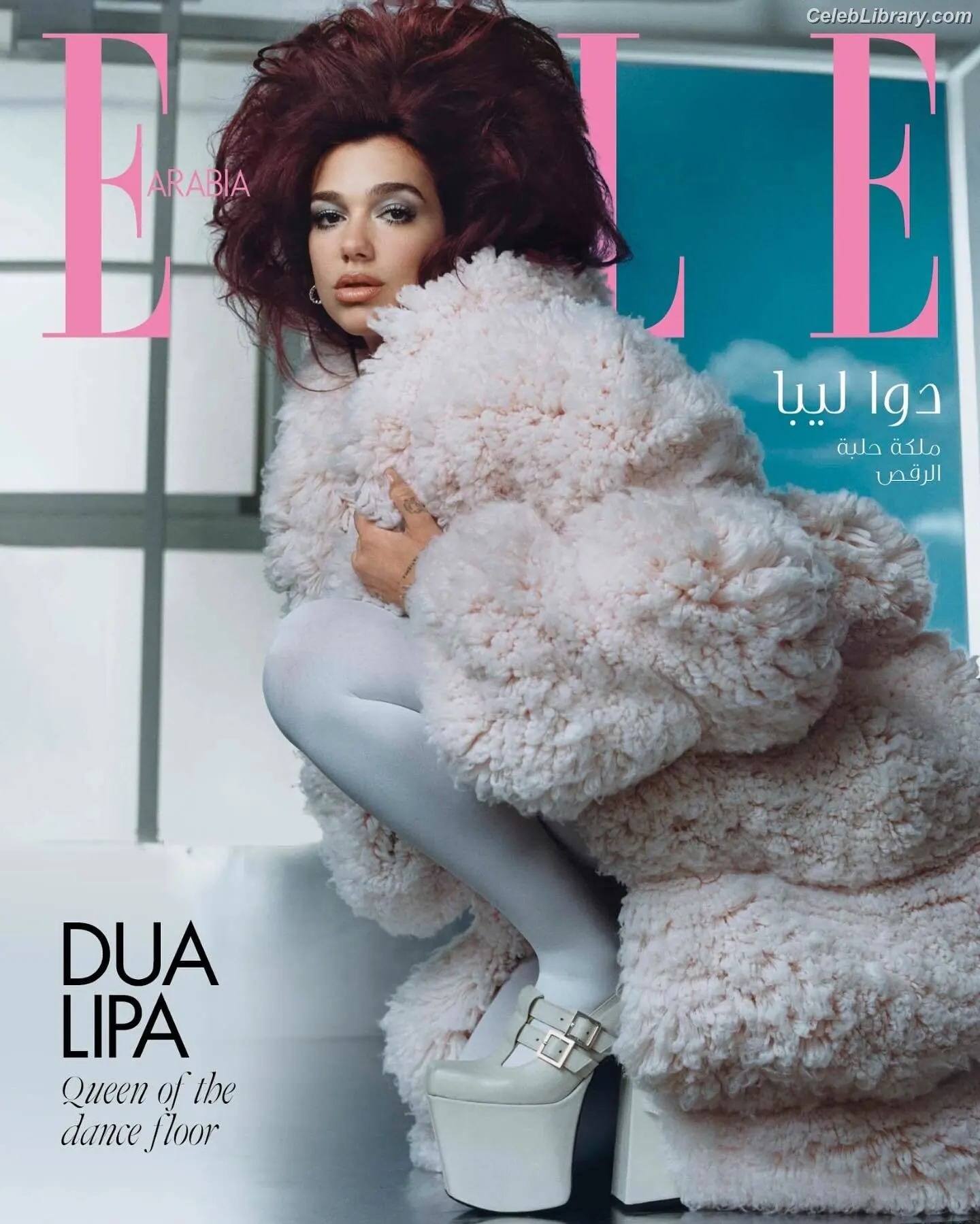 Dua Lipa photo 6 of 7813