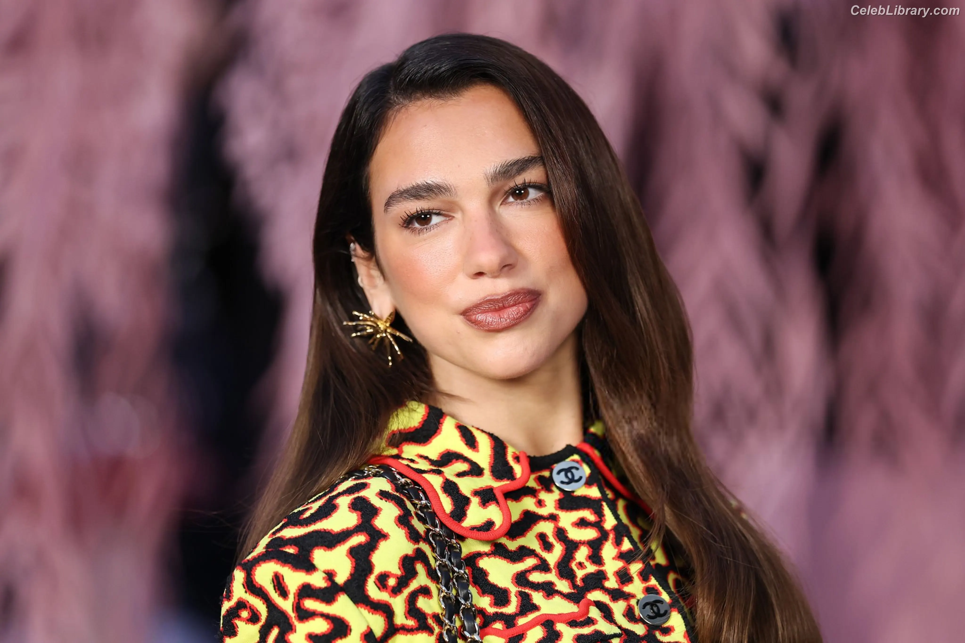 Dua Lipa photo 15 of 7813