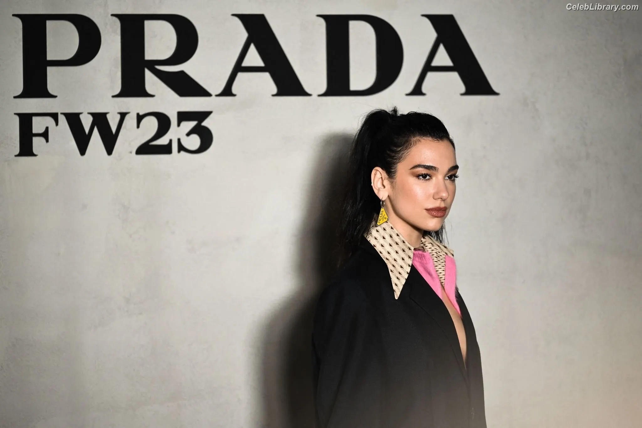 Dua Lipa photo 5 of 7813