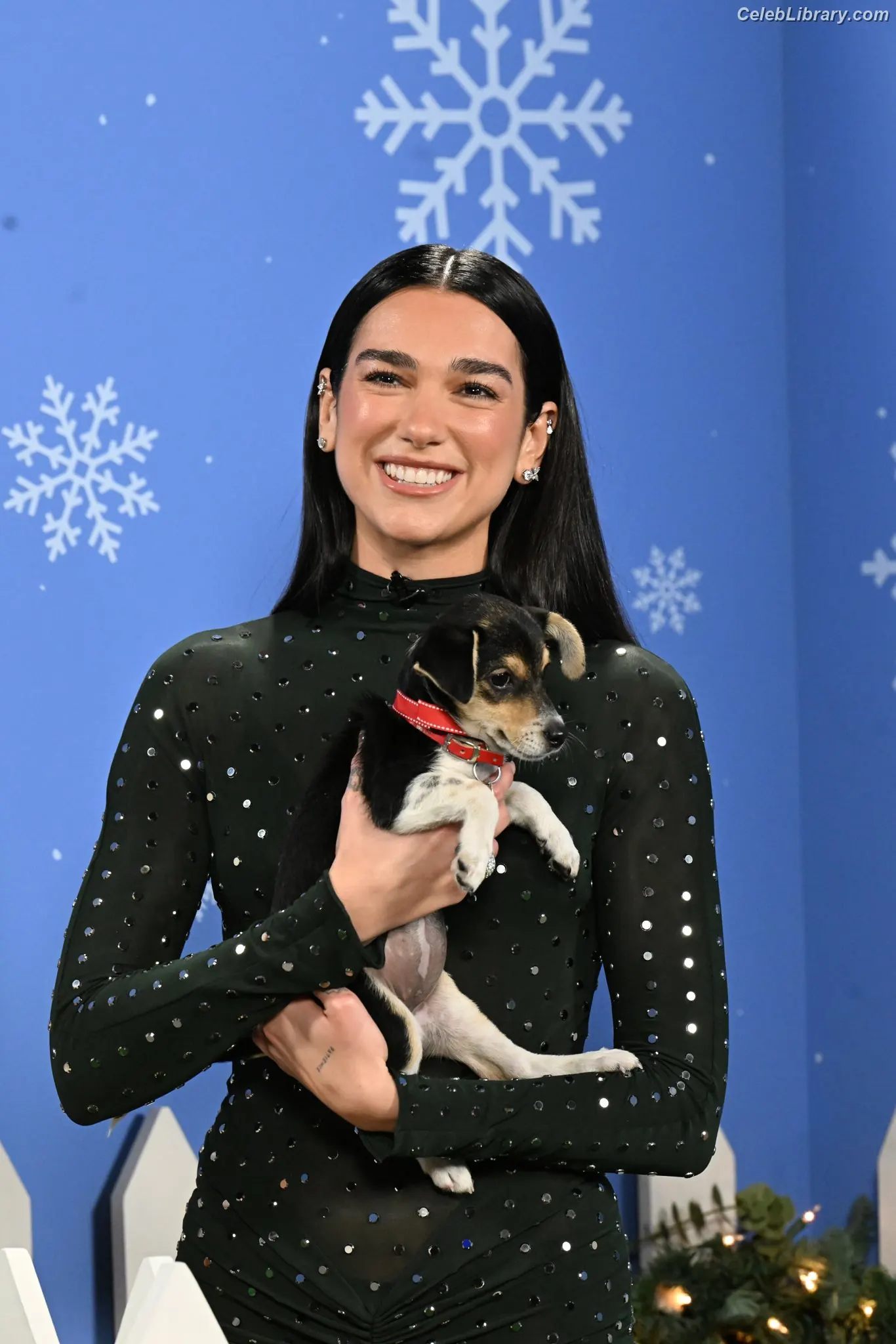 Dua Lipa photo 9 of 7813