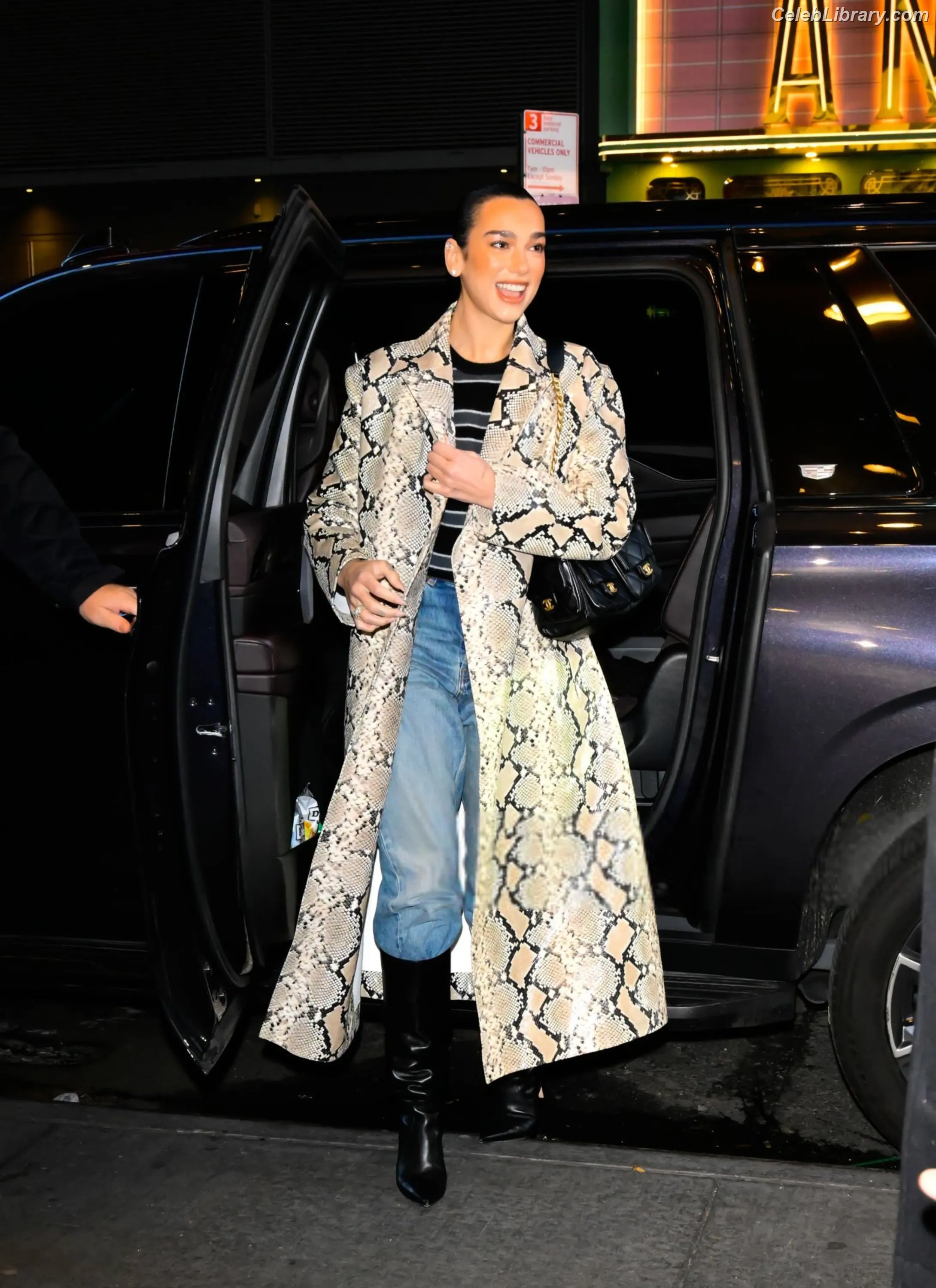 Dua Lipa photo 1 of 7813