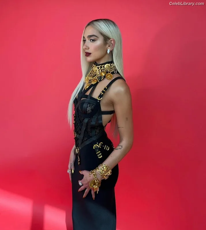 Dua Lipa photo 1 of 7804