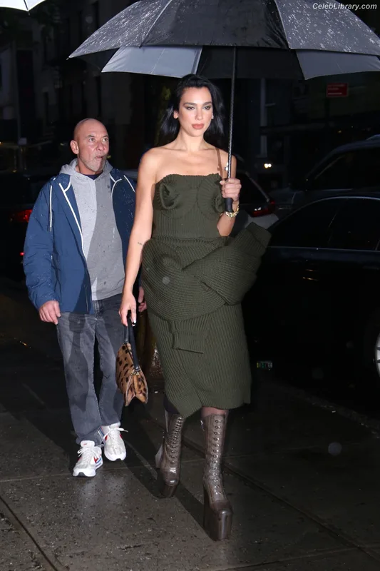 Dua Lipa photo 2 of 7804