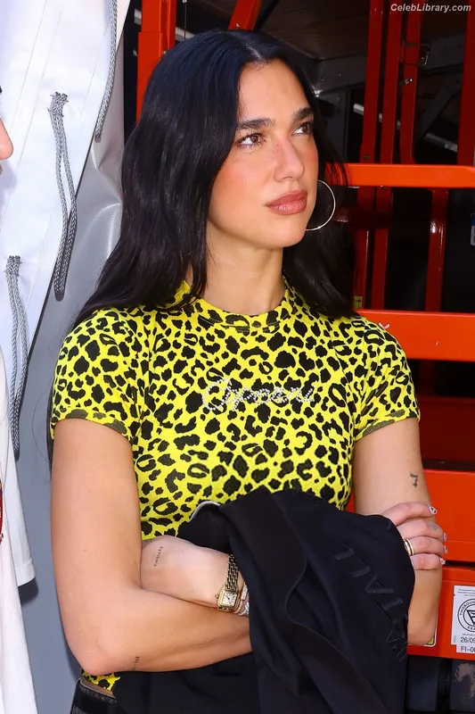 Dua Lipa photo 3 of 7804