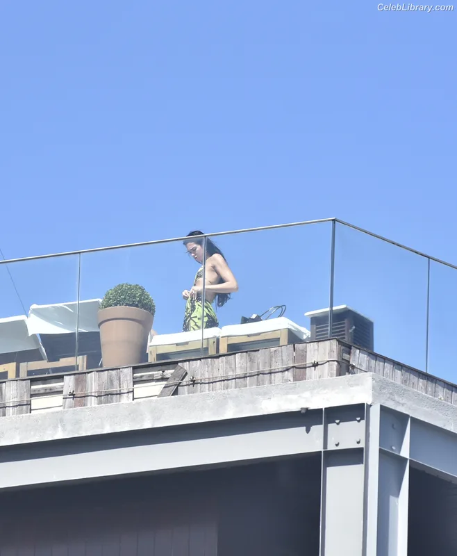 Dua Lipa photo 3 of 7804