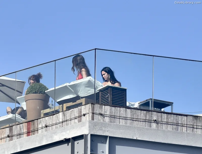Dua Lipa photo 10 of 7804