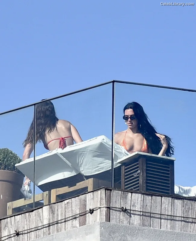 Dua Lipa photo 3 of 7804