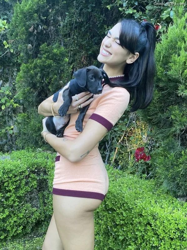 Dua Lipa photo 17 of 7804