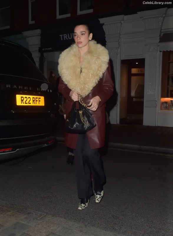 Dua Lipa photo 9 of 7804