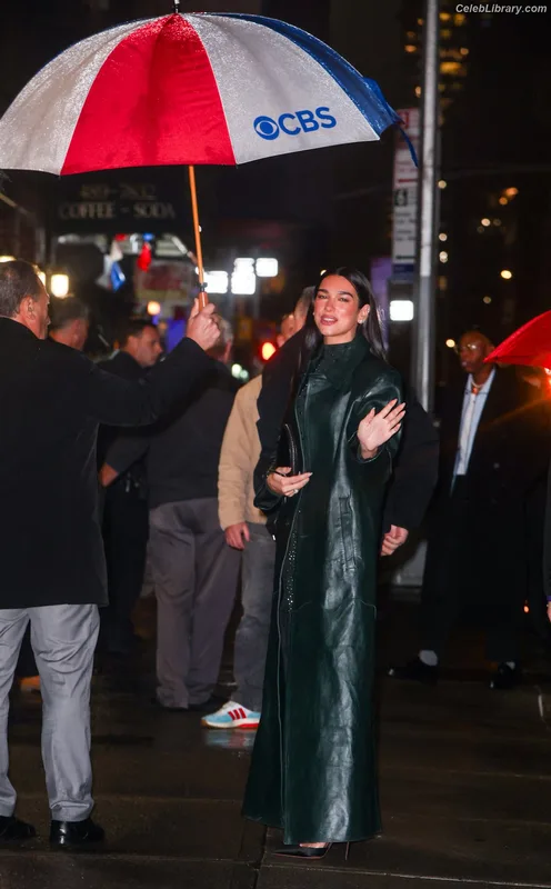 Dua Lipa photo 23 of 7804