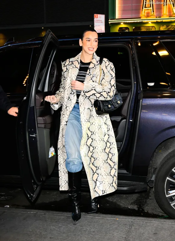 Dua Lipa photo 19 of 7804