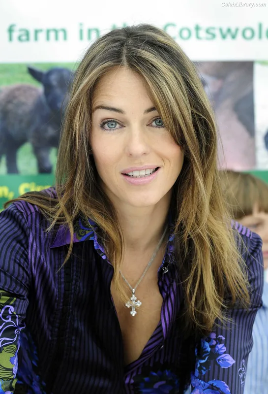 Elizabeth Hurley photo 3 of 823