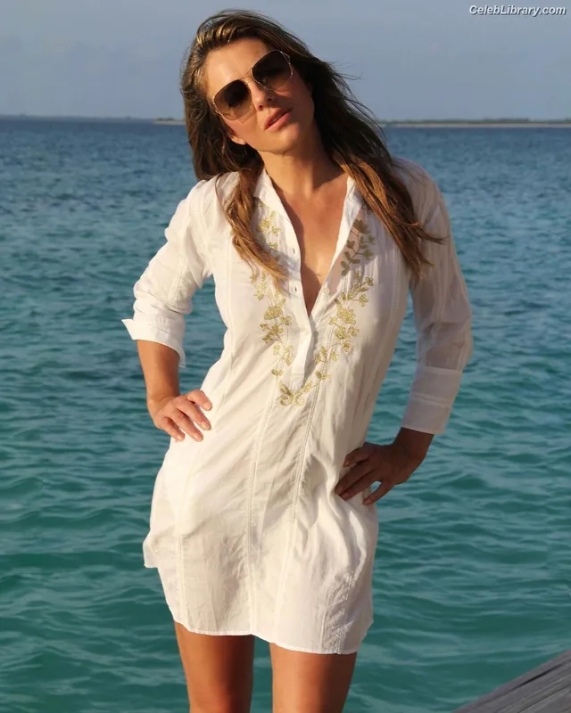 Elizabeth Hurley photo 22 of 823