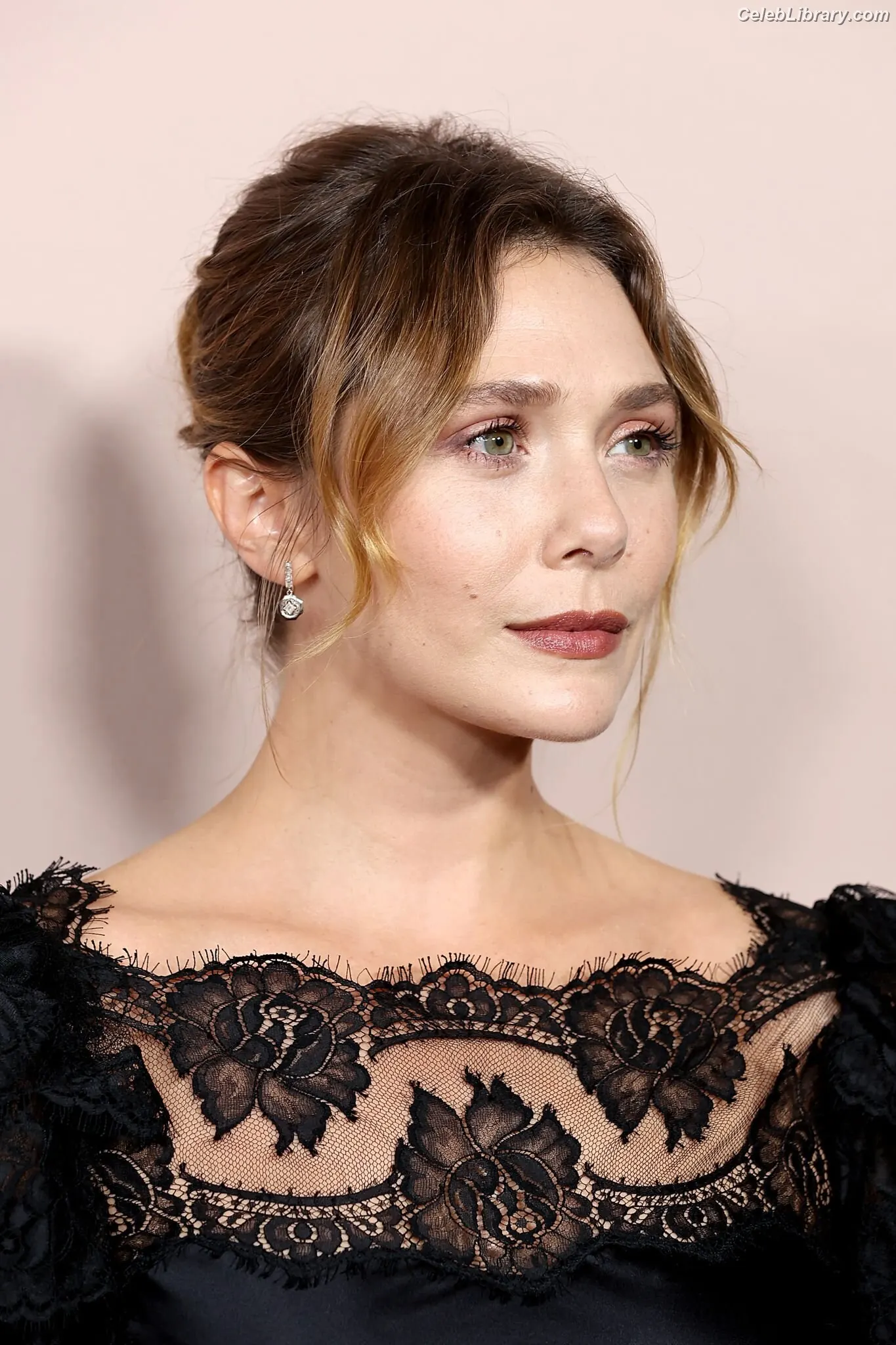 Elizabeth Olsen photo 12 of 2302