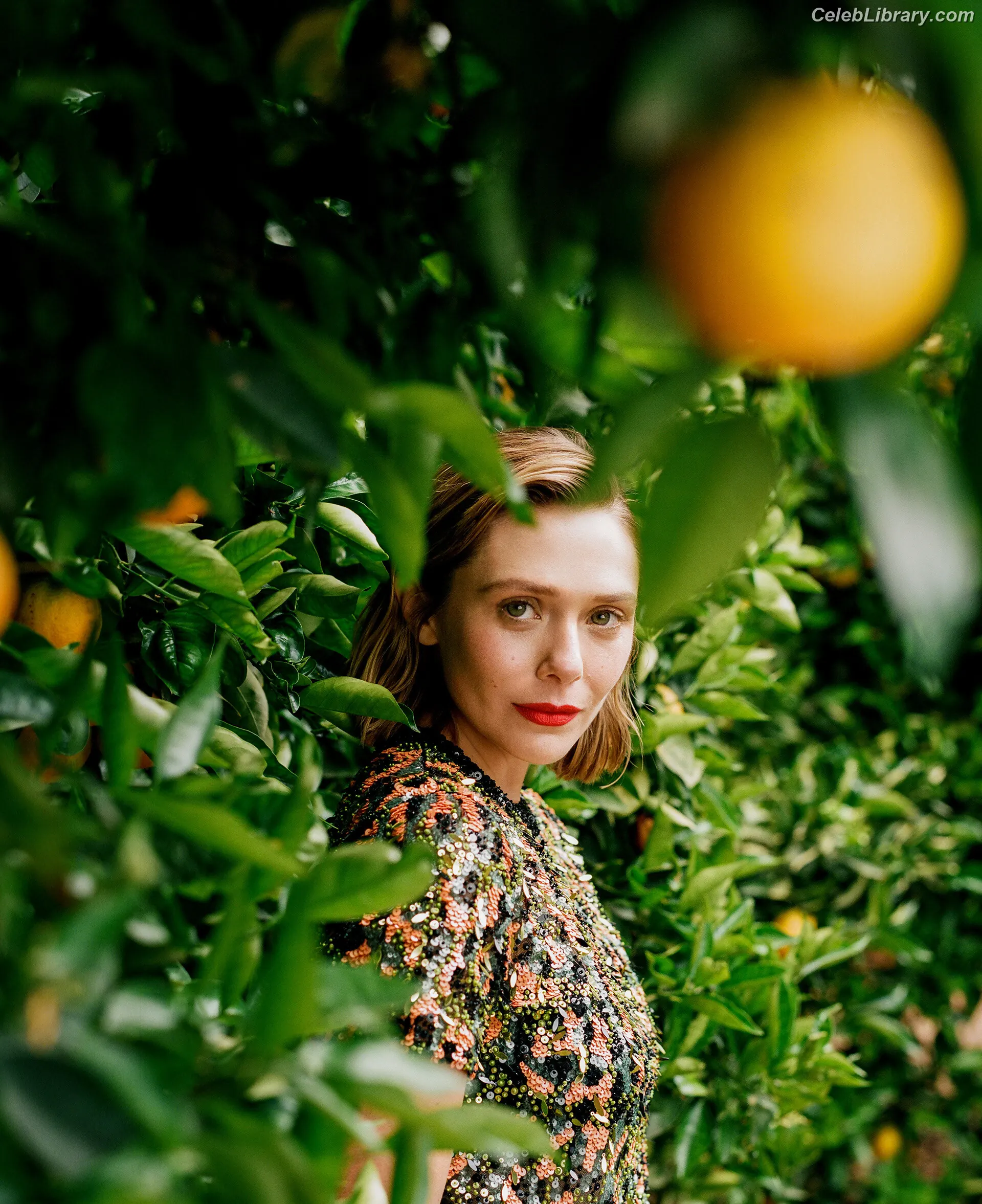 Elizabeth Olsen photo 5 of 2302
