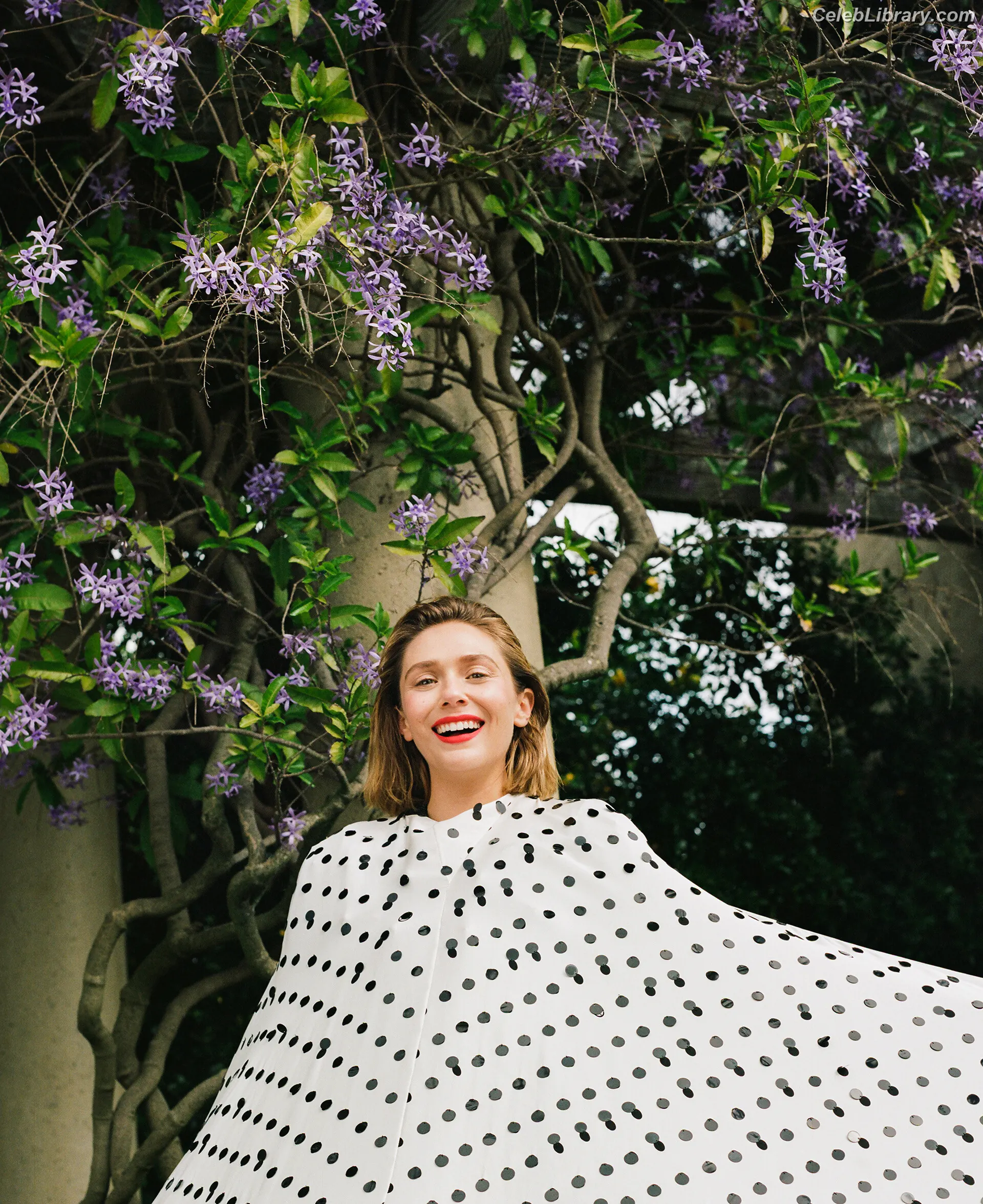 Elizabeth Olsen photo 14 of 2302