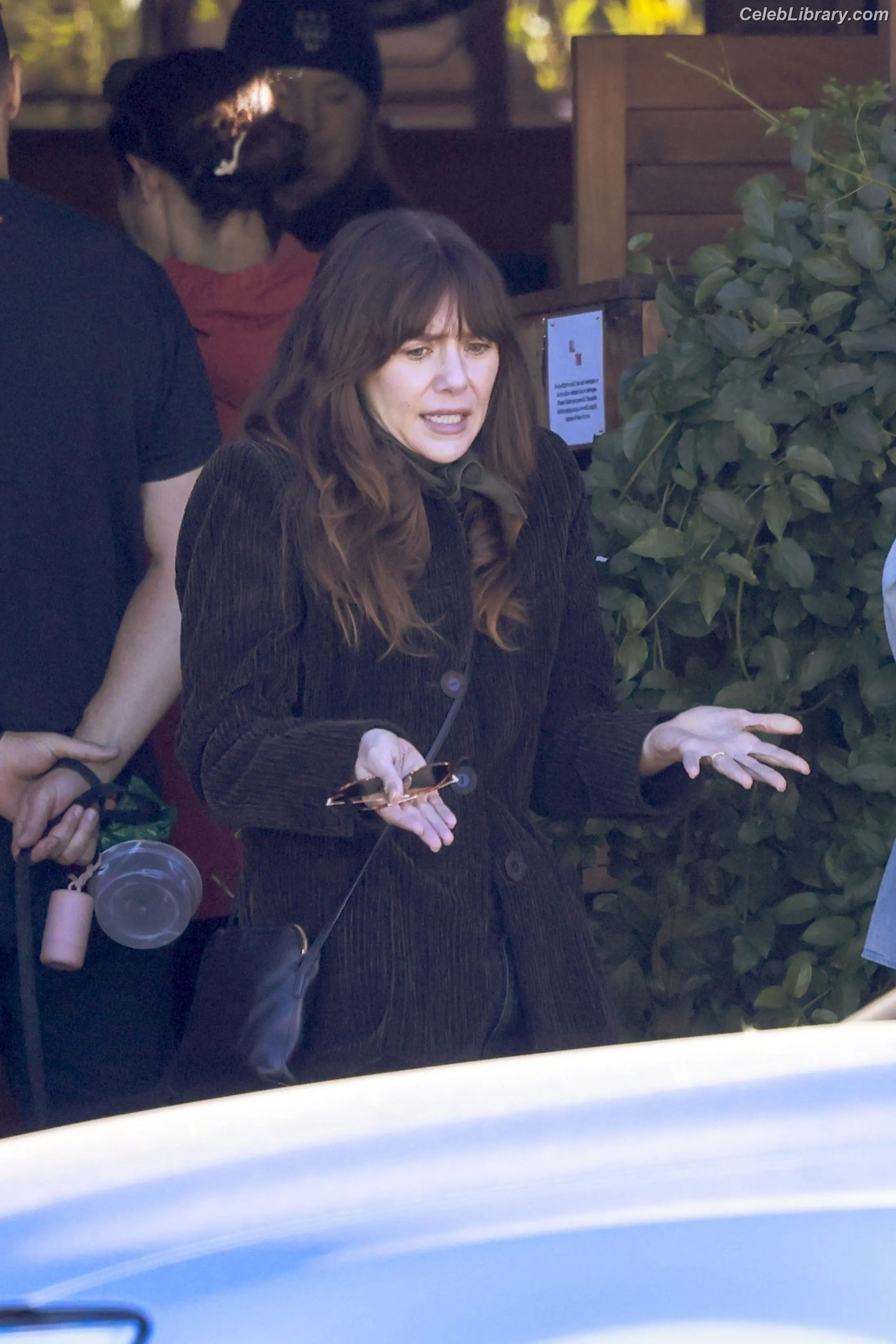 Elizabeth Olsen photo 4 of 2302