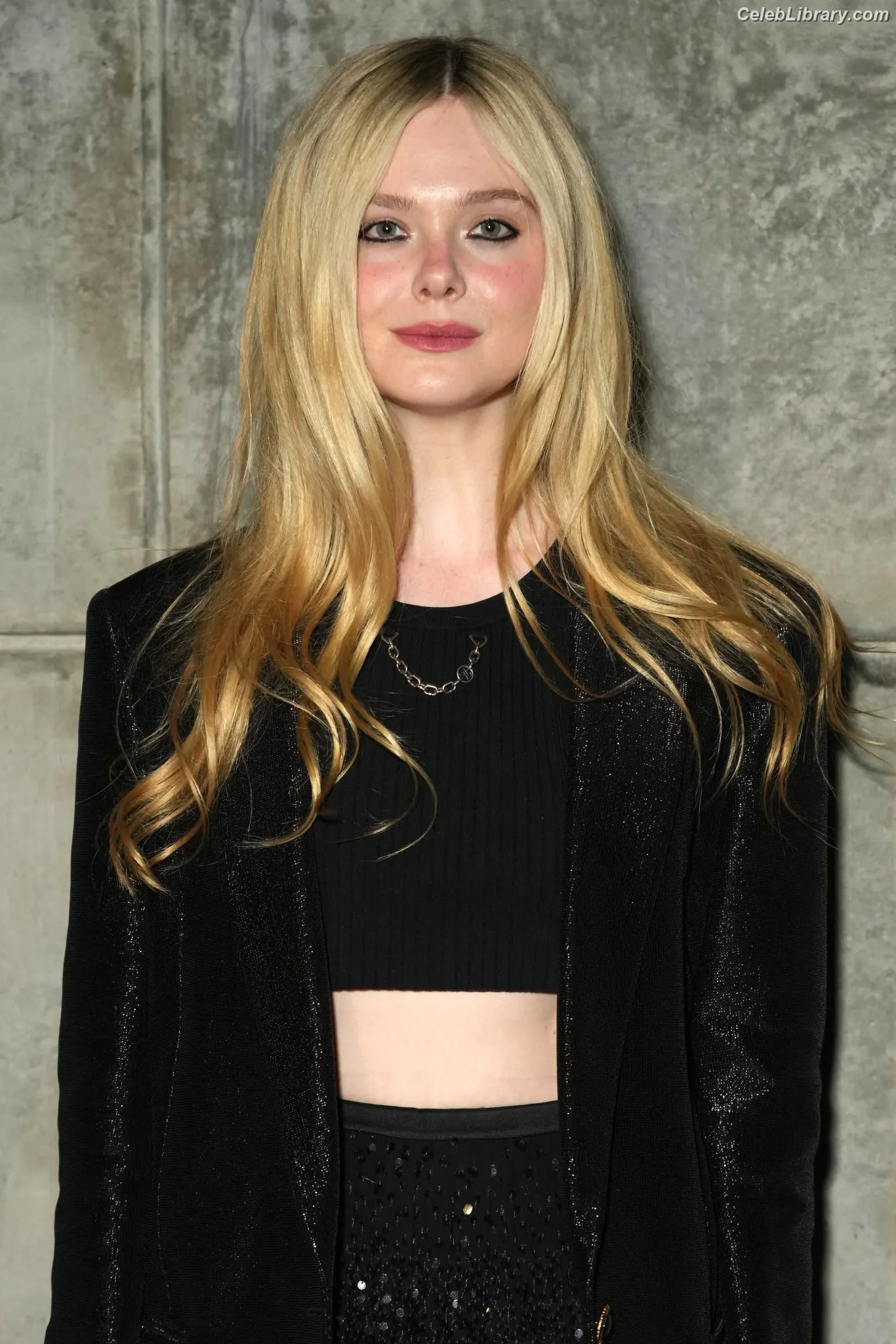 Elle Fanning photo 3 of 4118