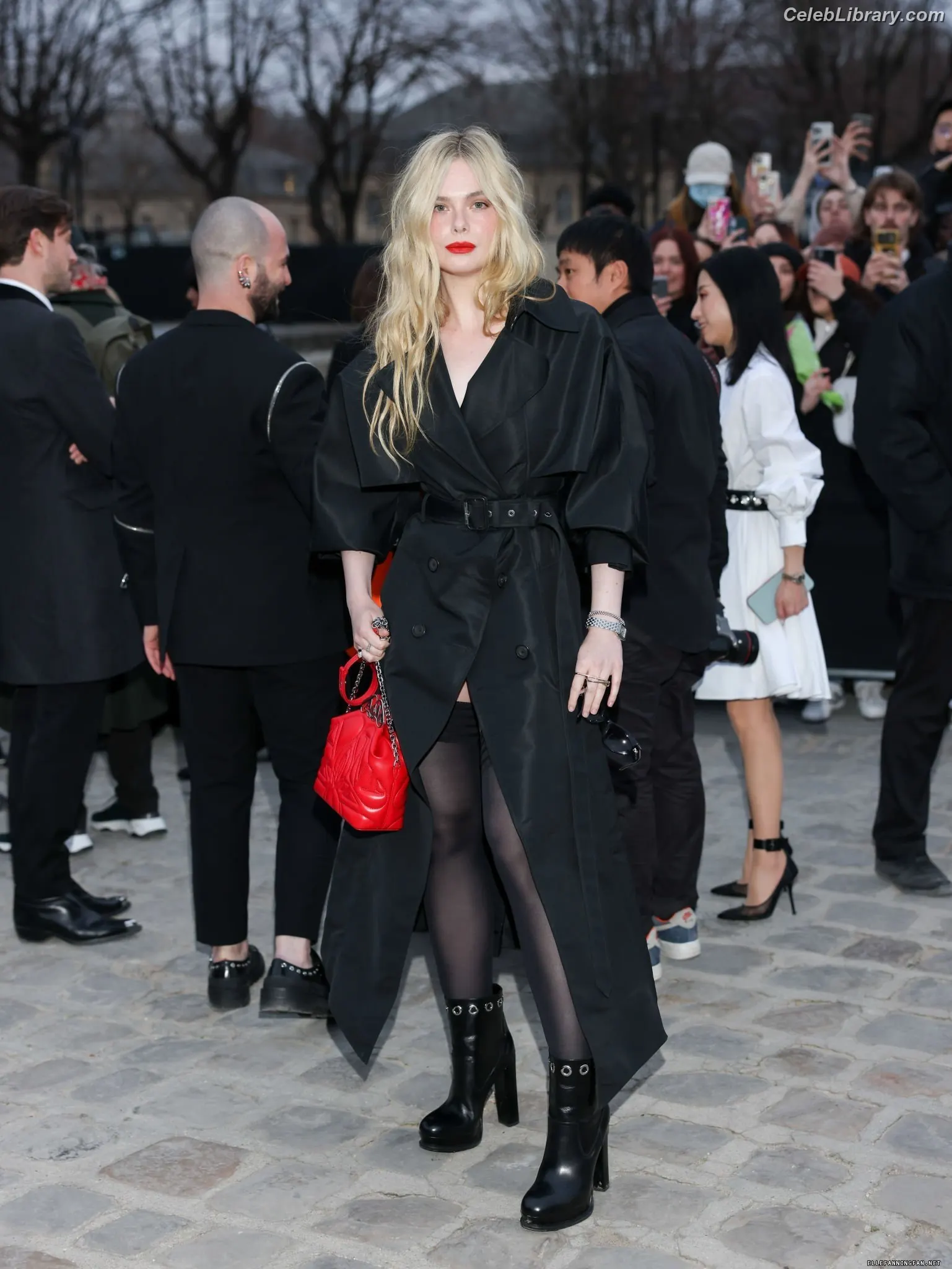 Elle Fanning photo 20 of 4118