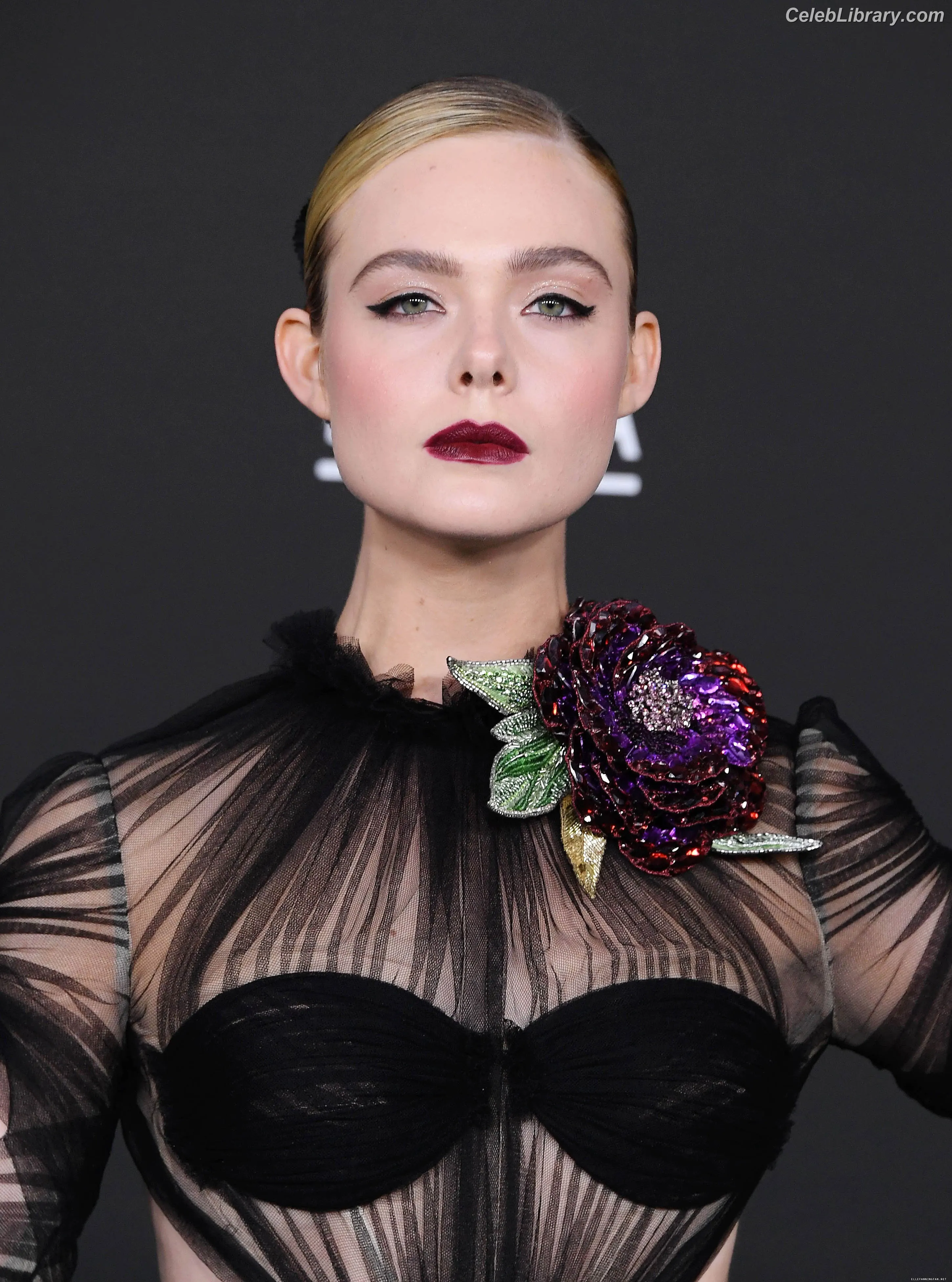 Elle Fanning photo 16 of 4118