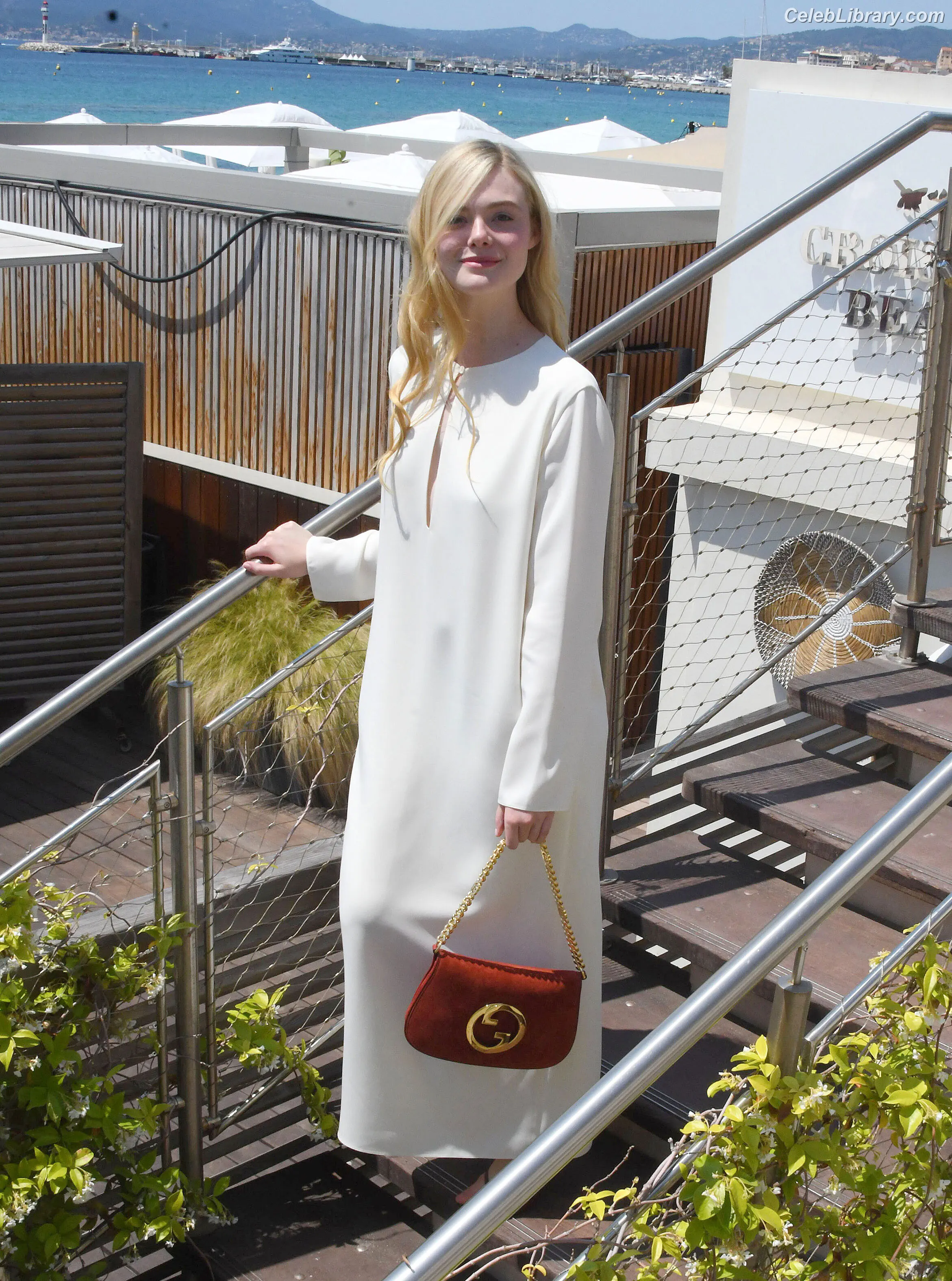 Elle Fanning photo 5 of 4118