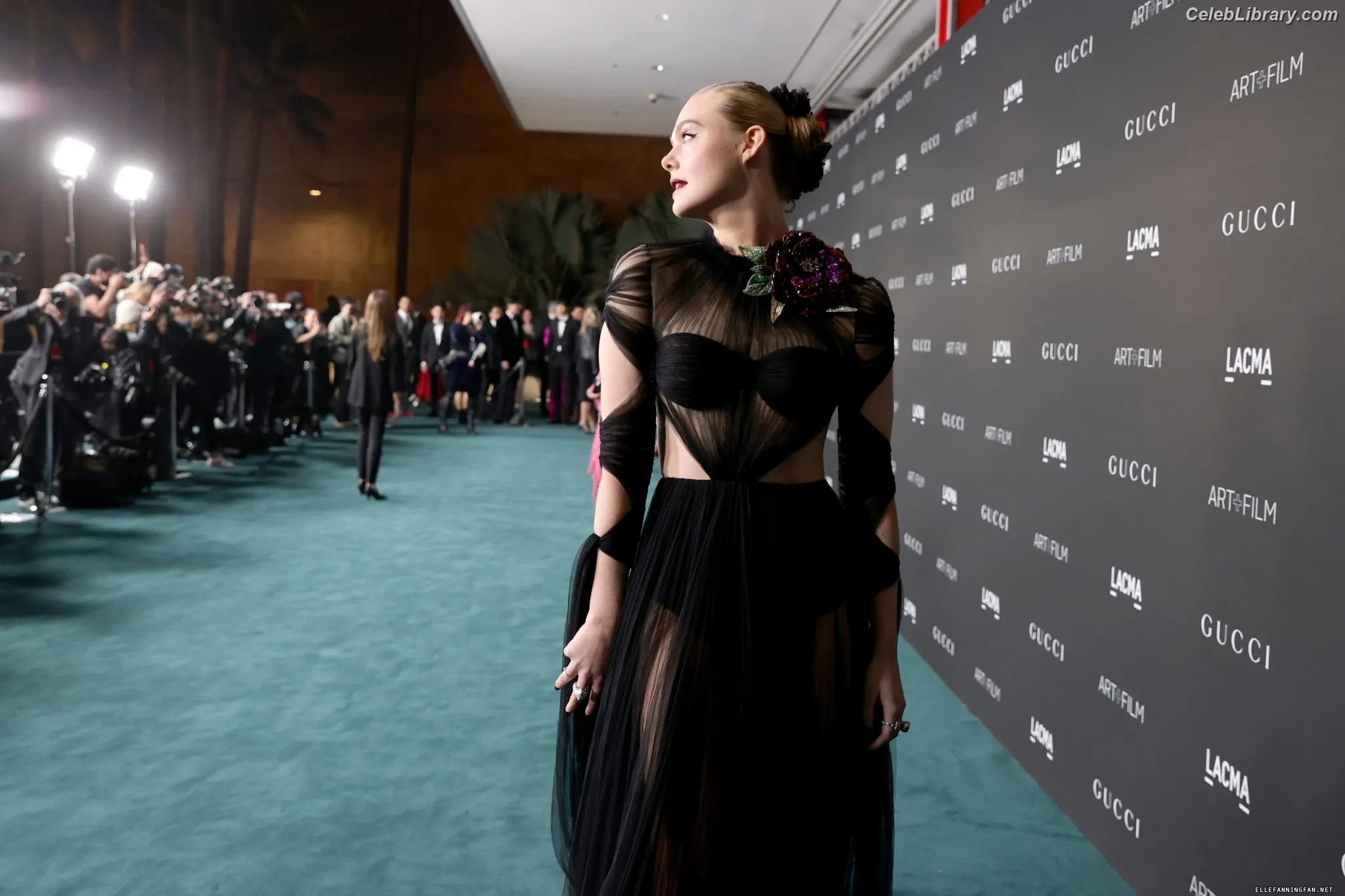 Elle Fanning photo 4 of 4118
