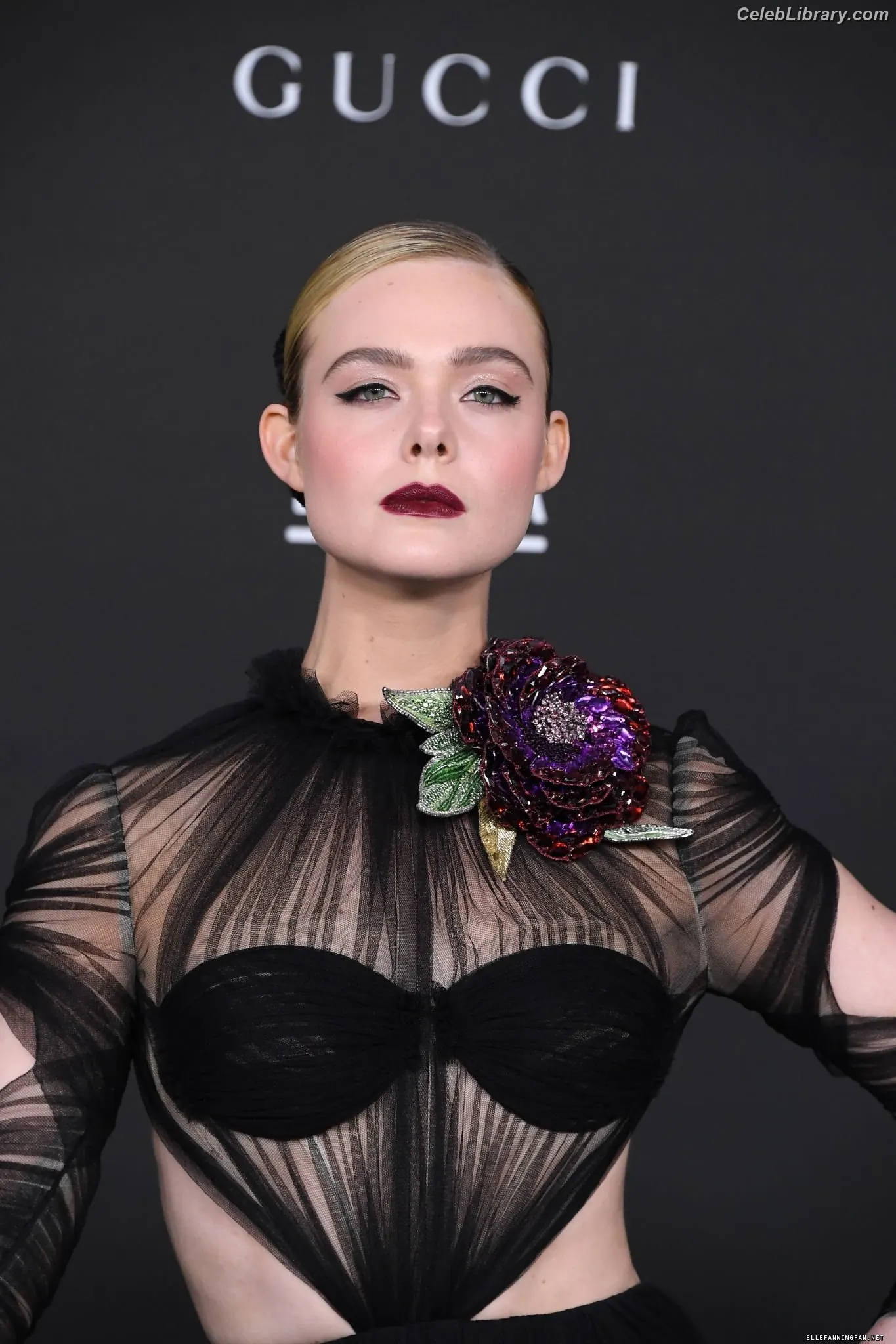 Elle Fanning photo 9 of 4118