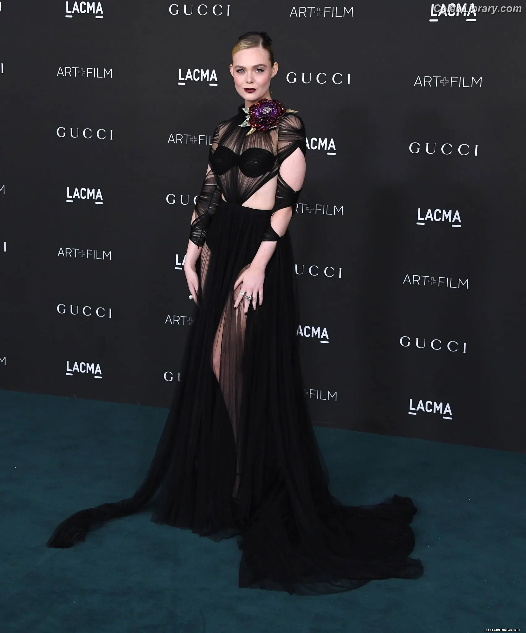 Elle Fanning photo 12 of 4118