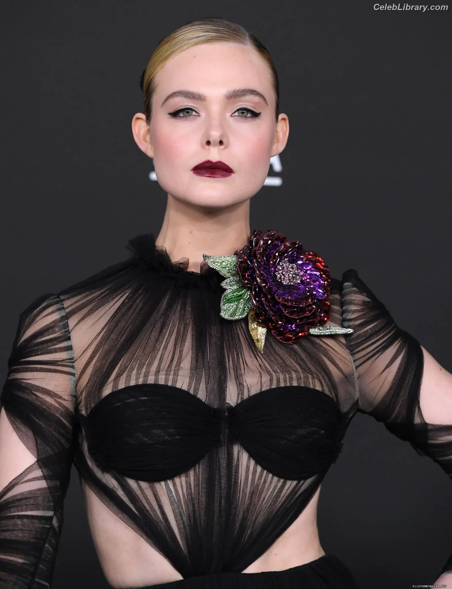 Elle Fanning photo 14 of 4118