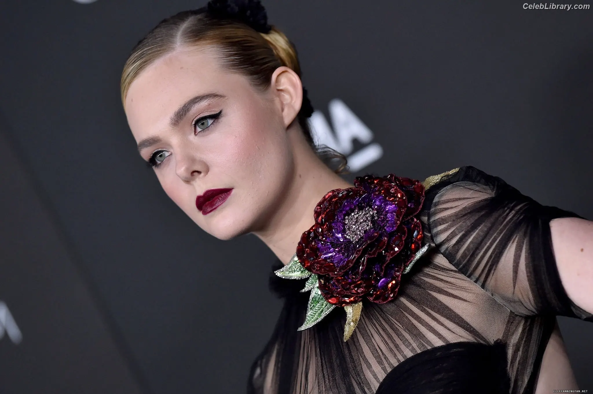 Elle Fanning photo 10 of 4118