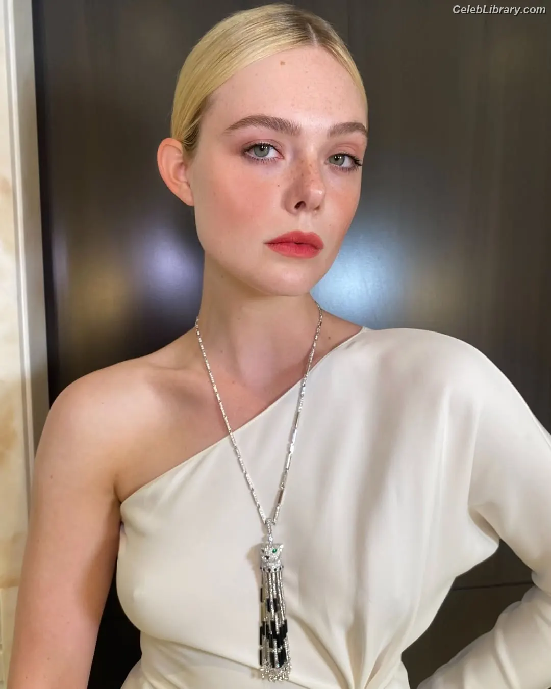 Elle Fanning photo 22 of 4118