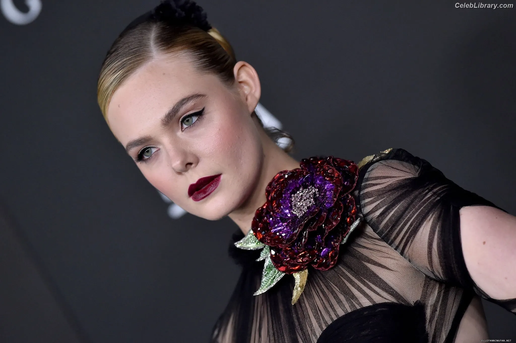 Elle Fanning photo 9 of 4118