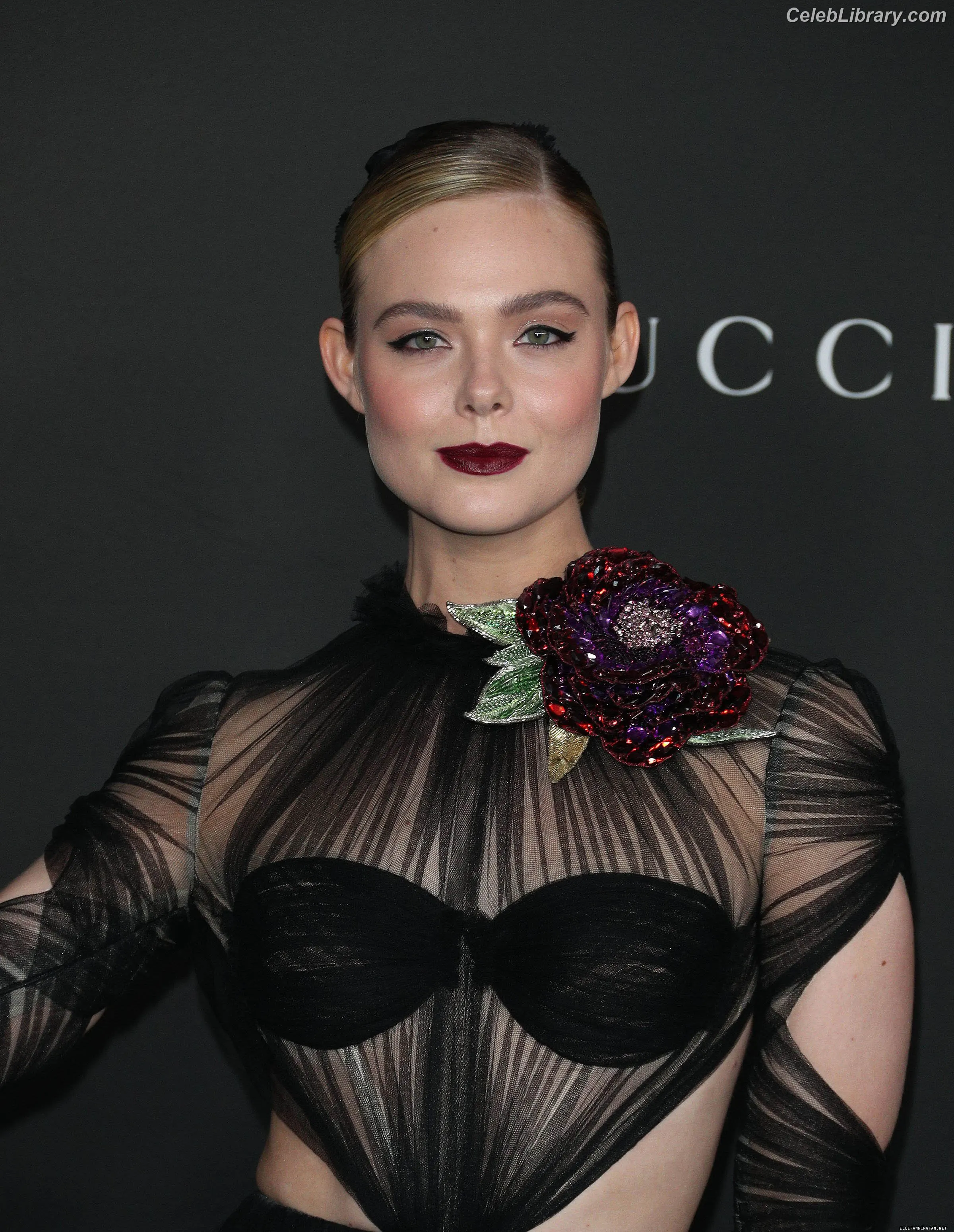 Elle Fanning photo 3 of 4118