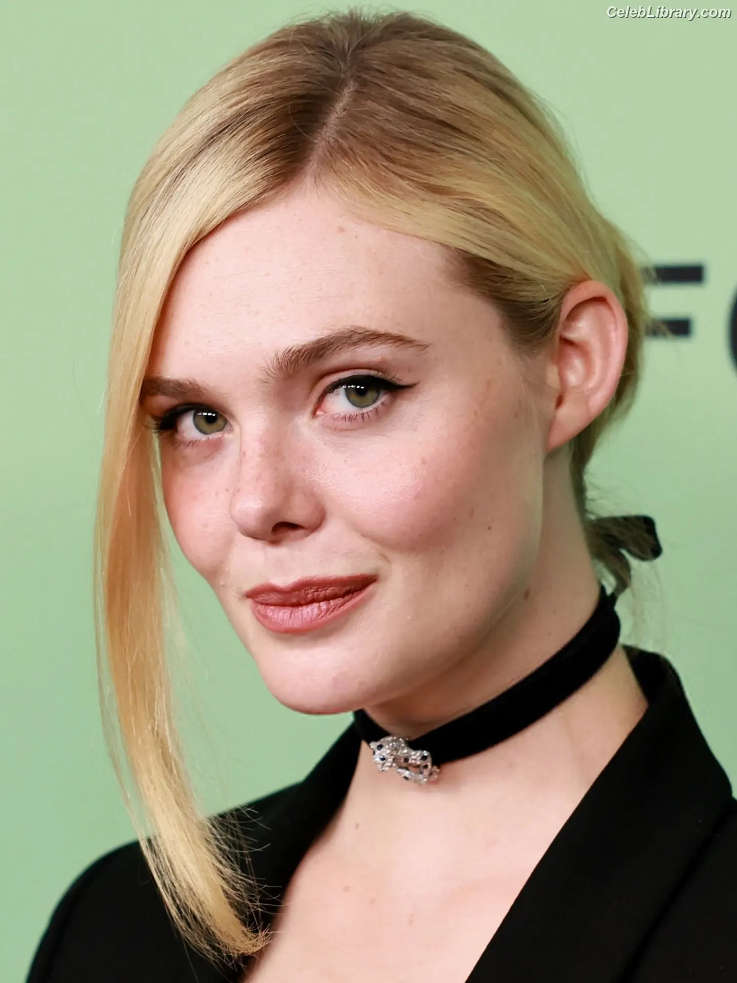 Elle Fanning photo 5 of 4118