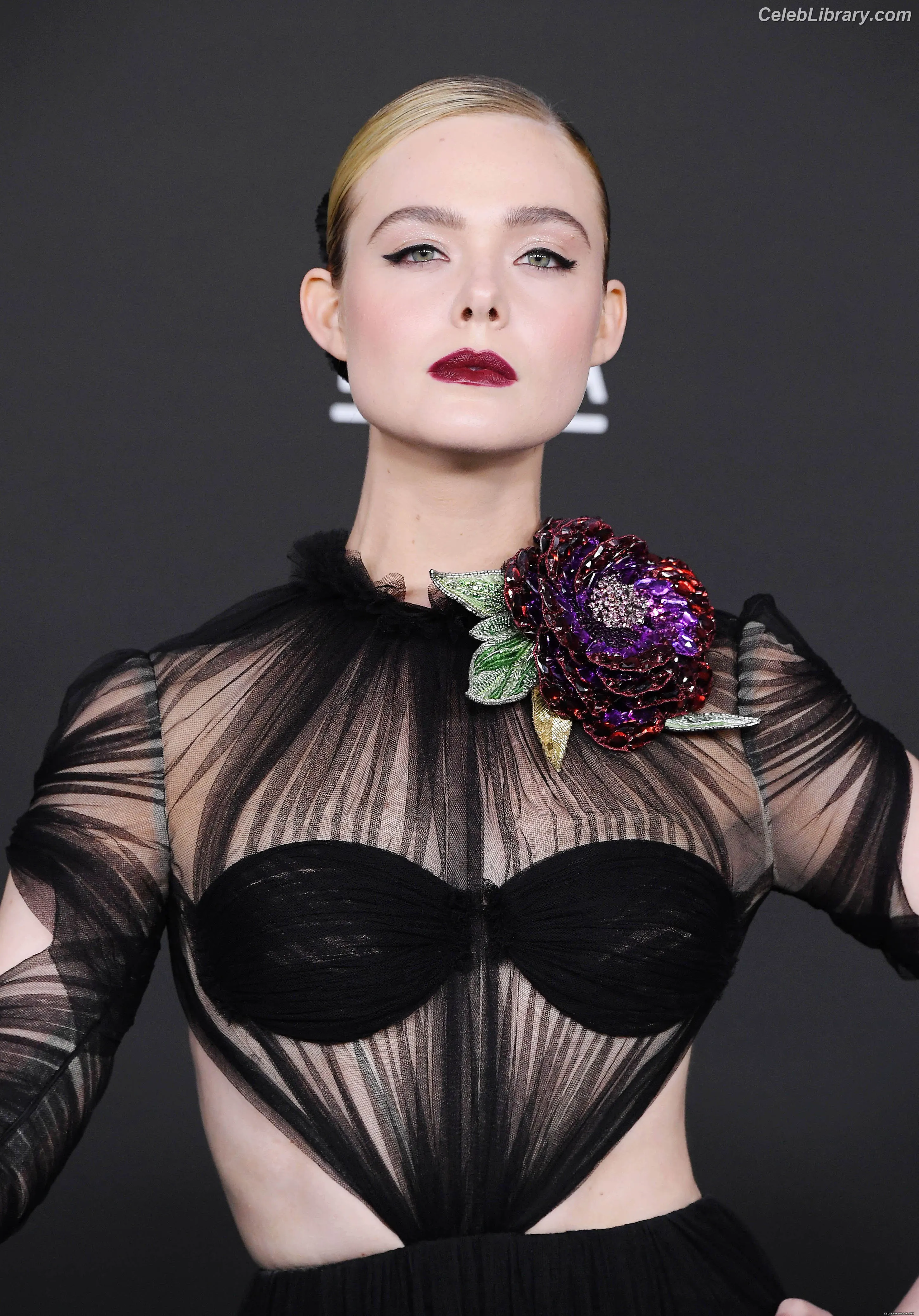 Elle Fanning photo 4 of 4118