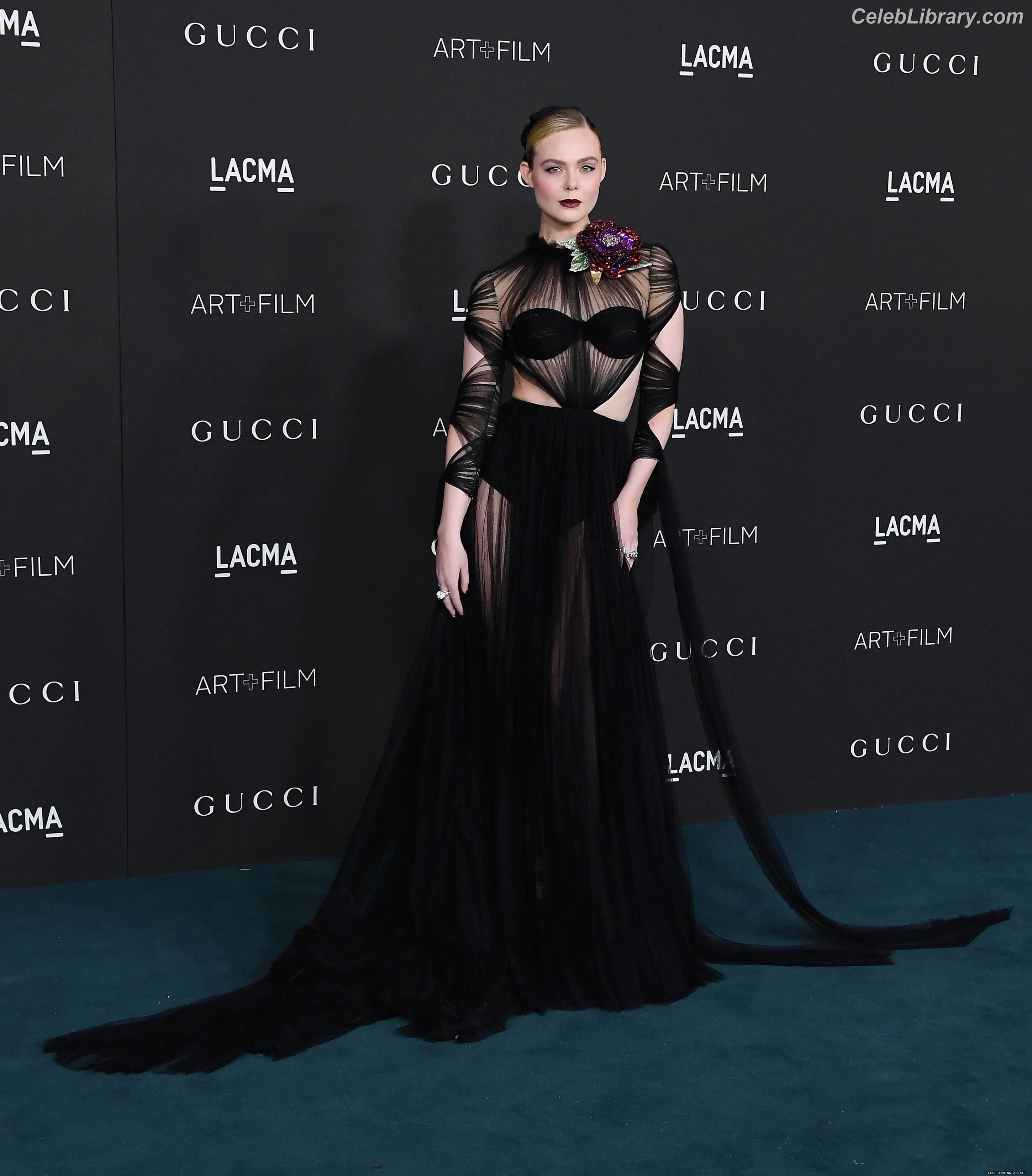 Elle Fanning photo 13 of 4118