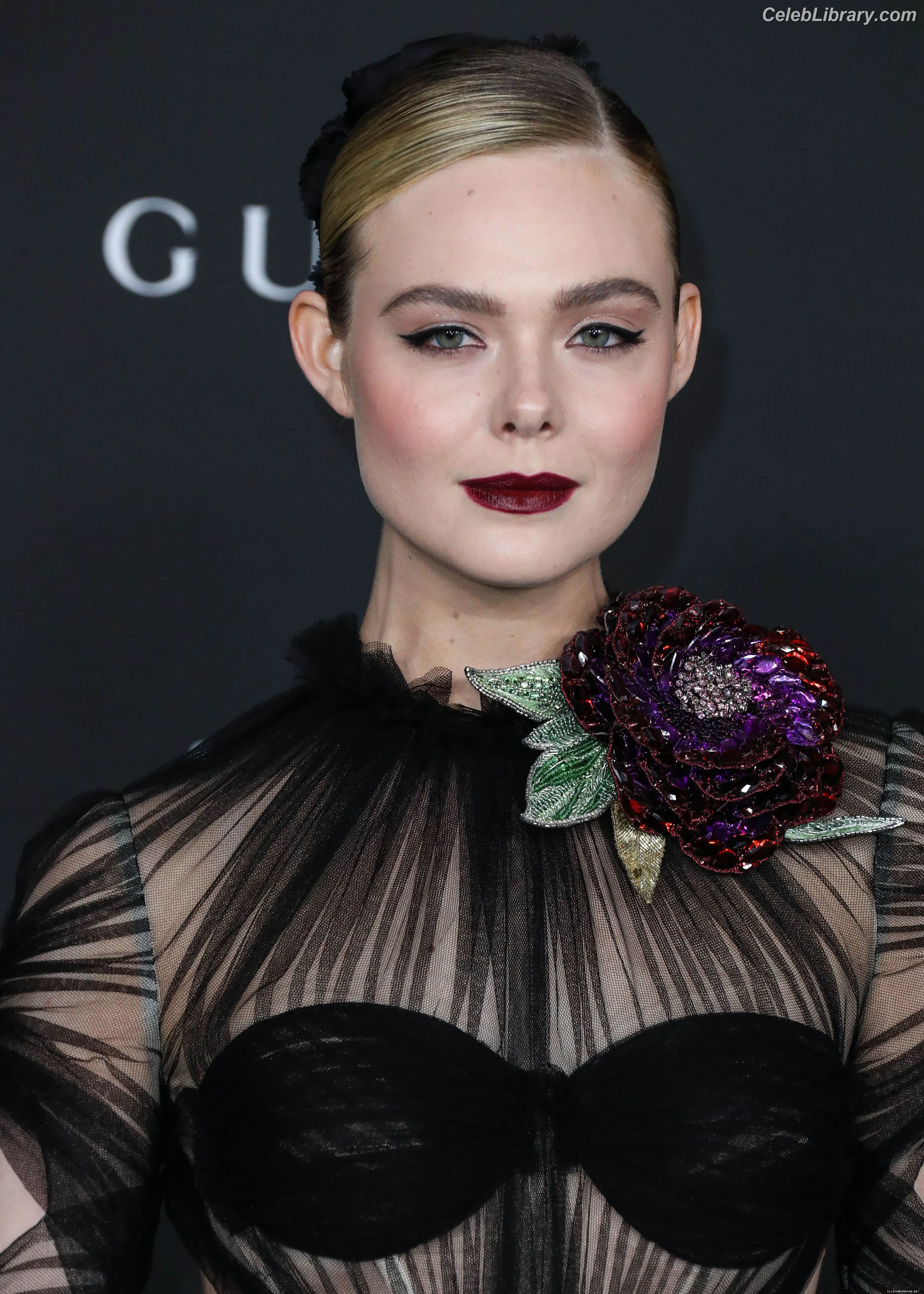 Elle Fanning photo 8 of 4118
