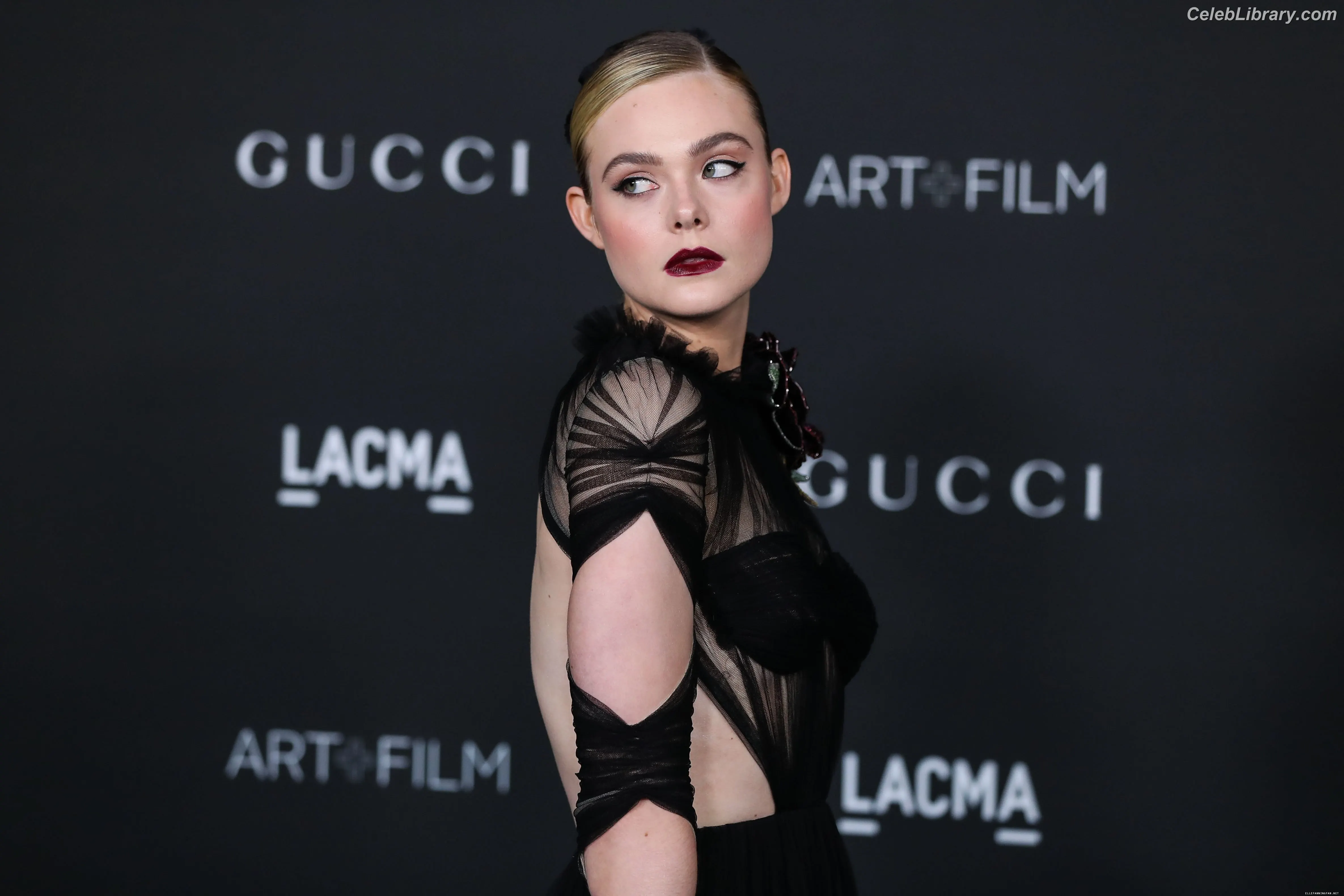 Elle Fanning photo 20 of 4118