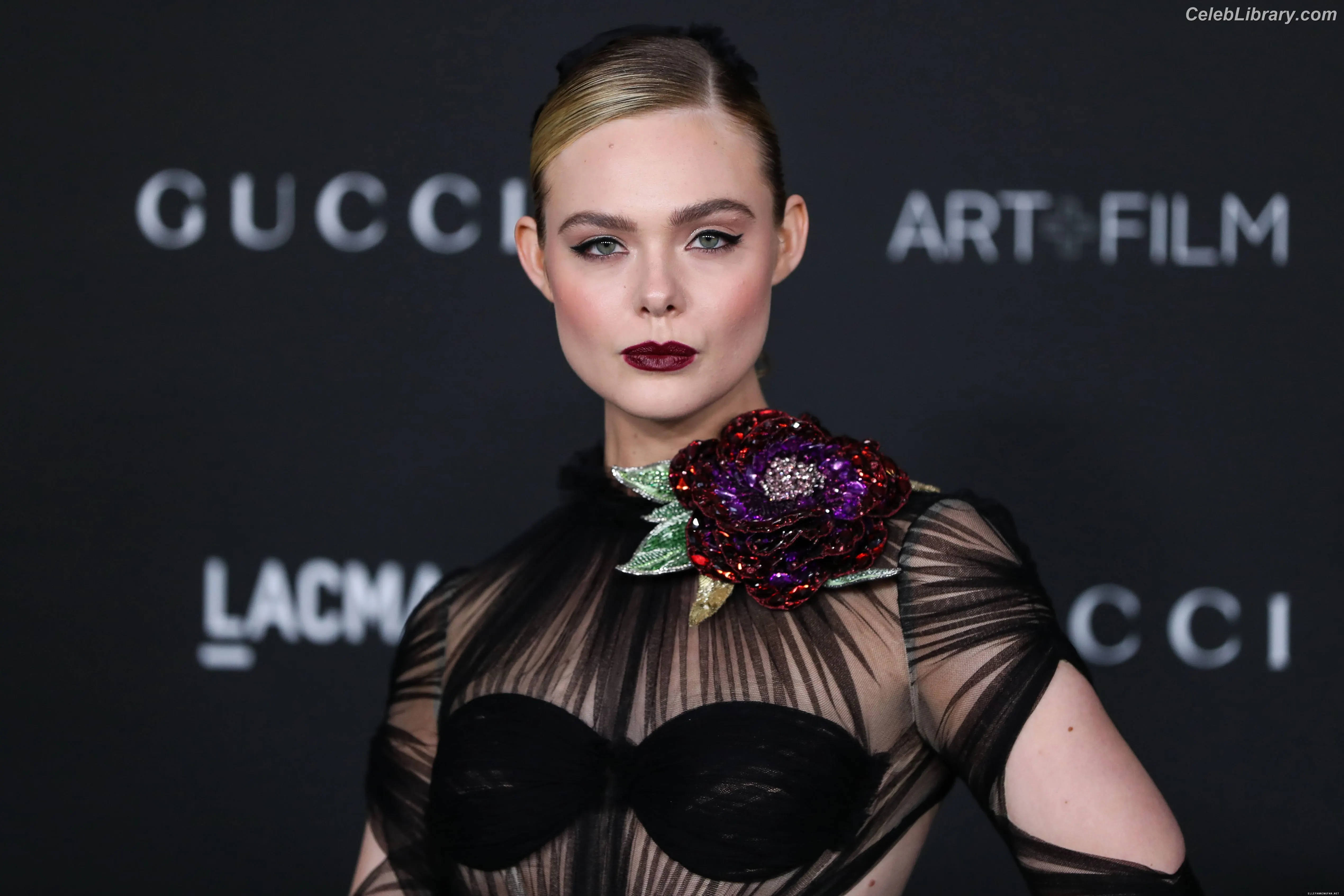 Elle Fanning photo 5 of 4118