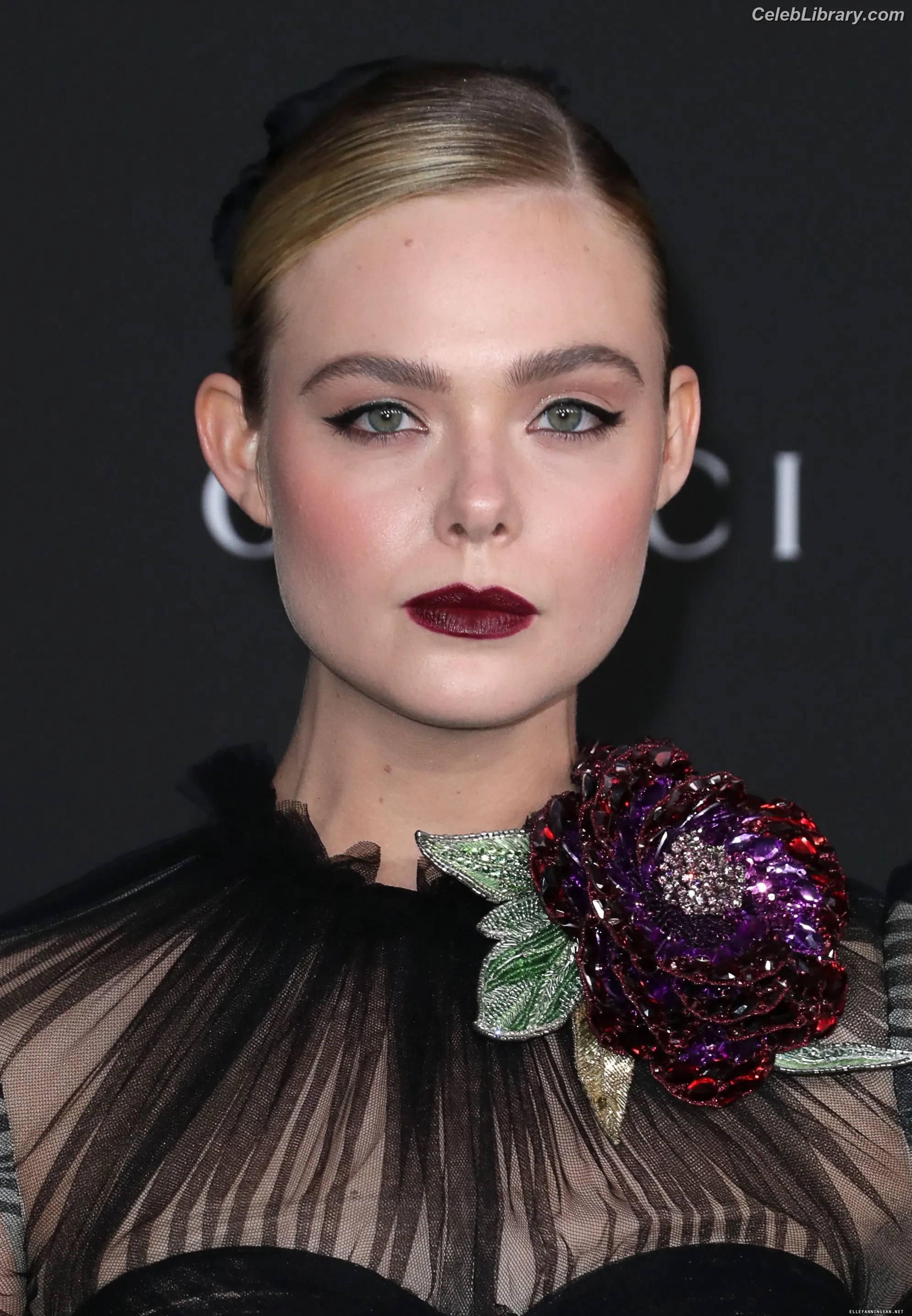 Elle Fanning photo 14 of 4118