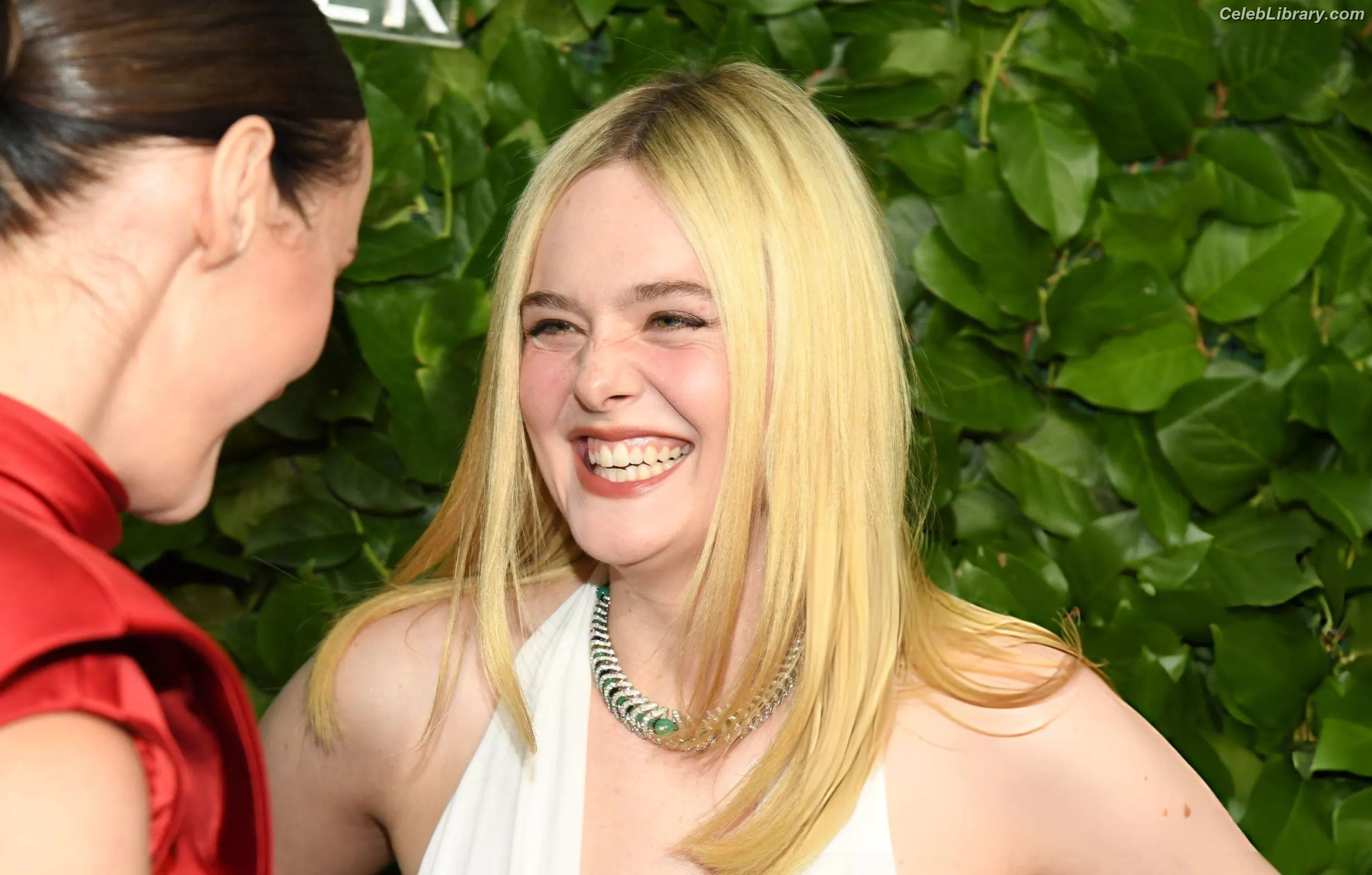 Elle Fanning photo 15 of 4118