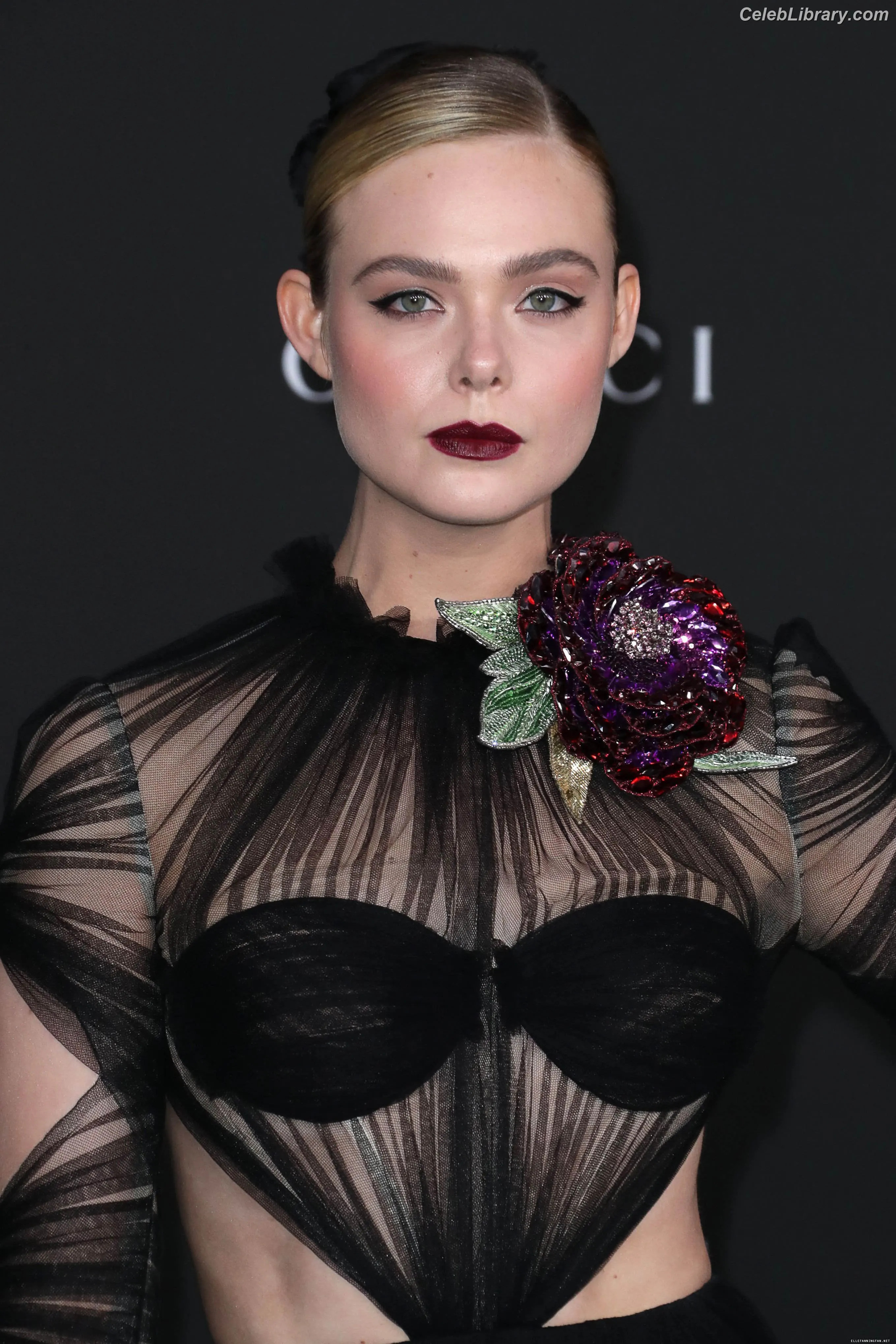 Elle Fanning photo 16 of 4118