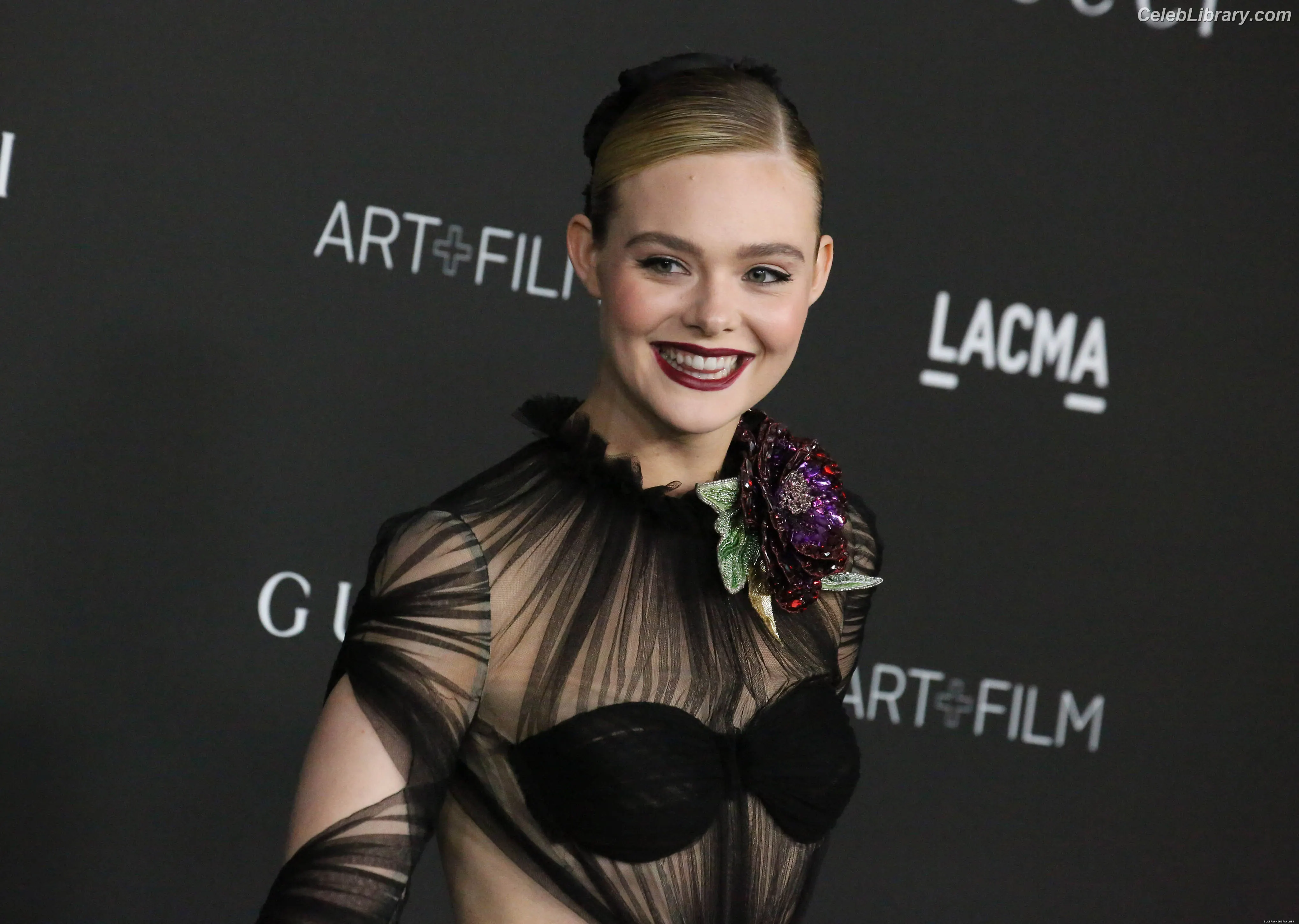 Elle Fanning photo 4 of 4118