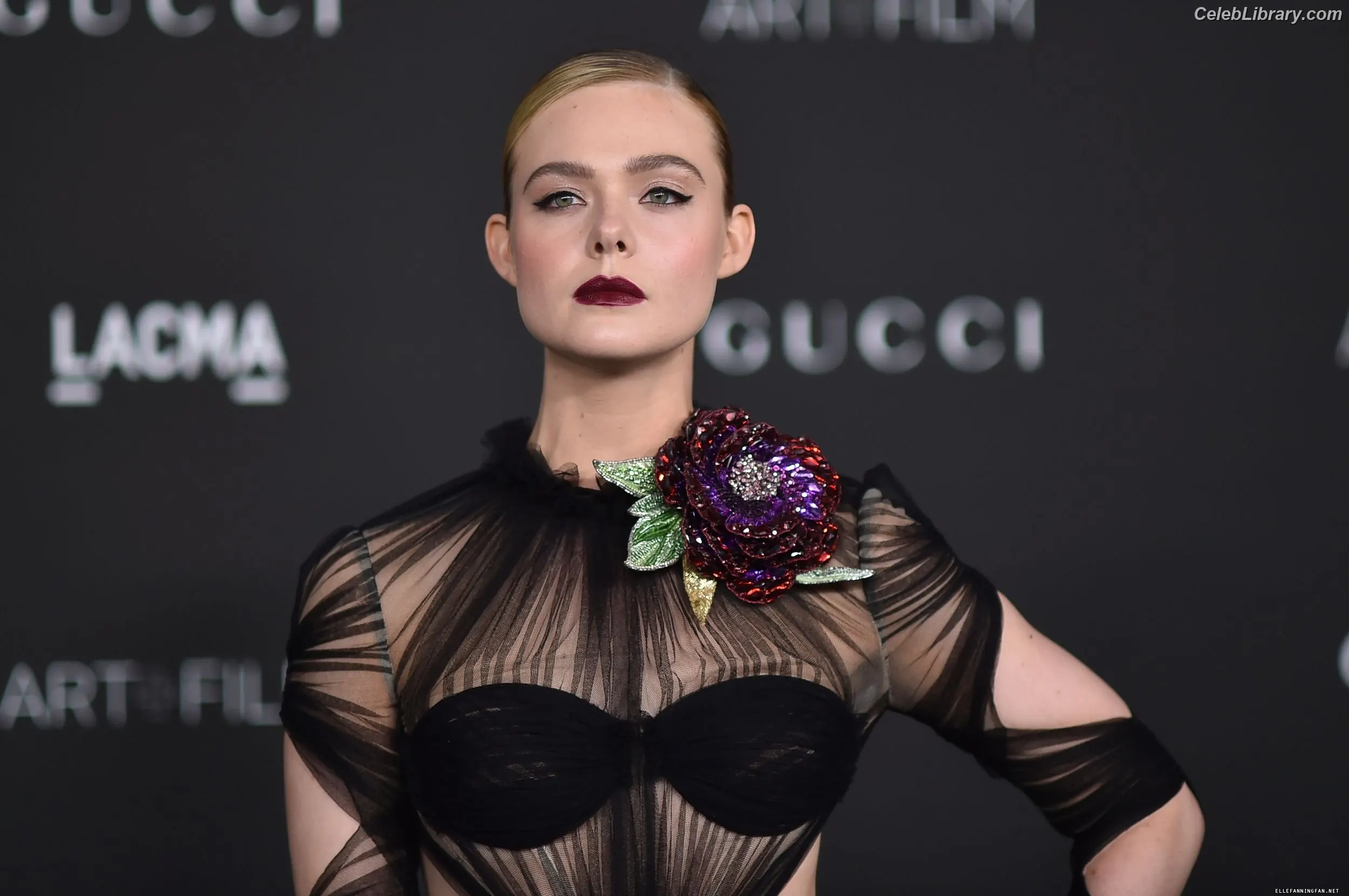 Elle Fanning photo 9 of 4118
