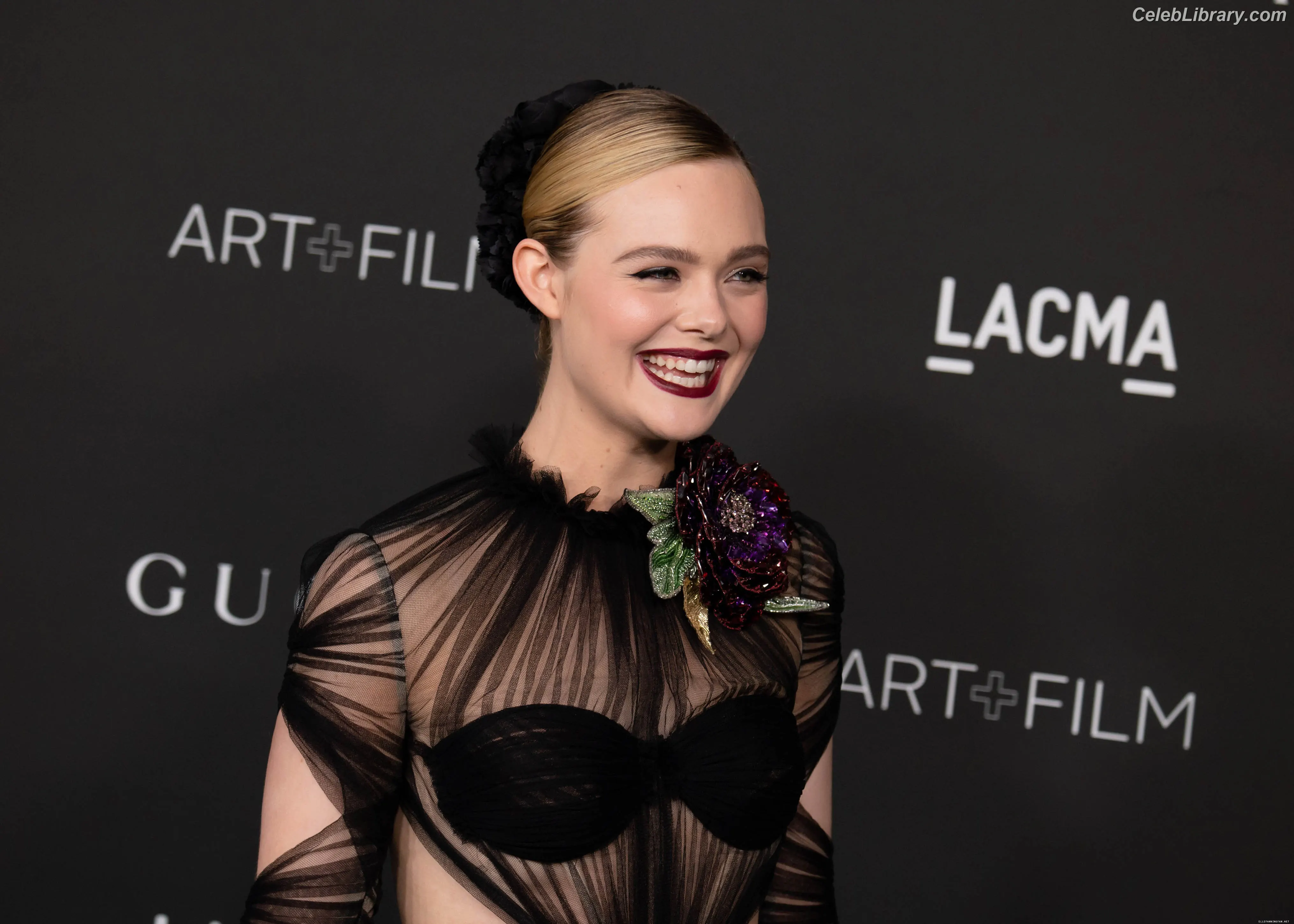 Elle Fanning photo 2 of 4118
