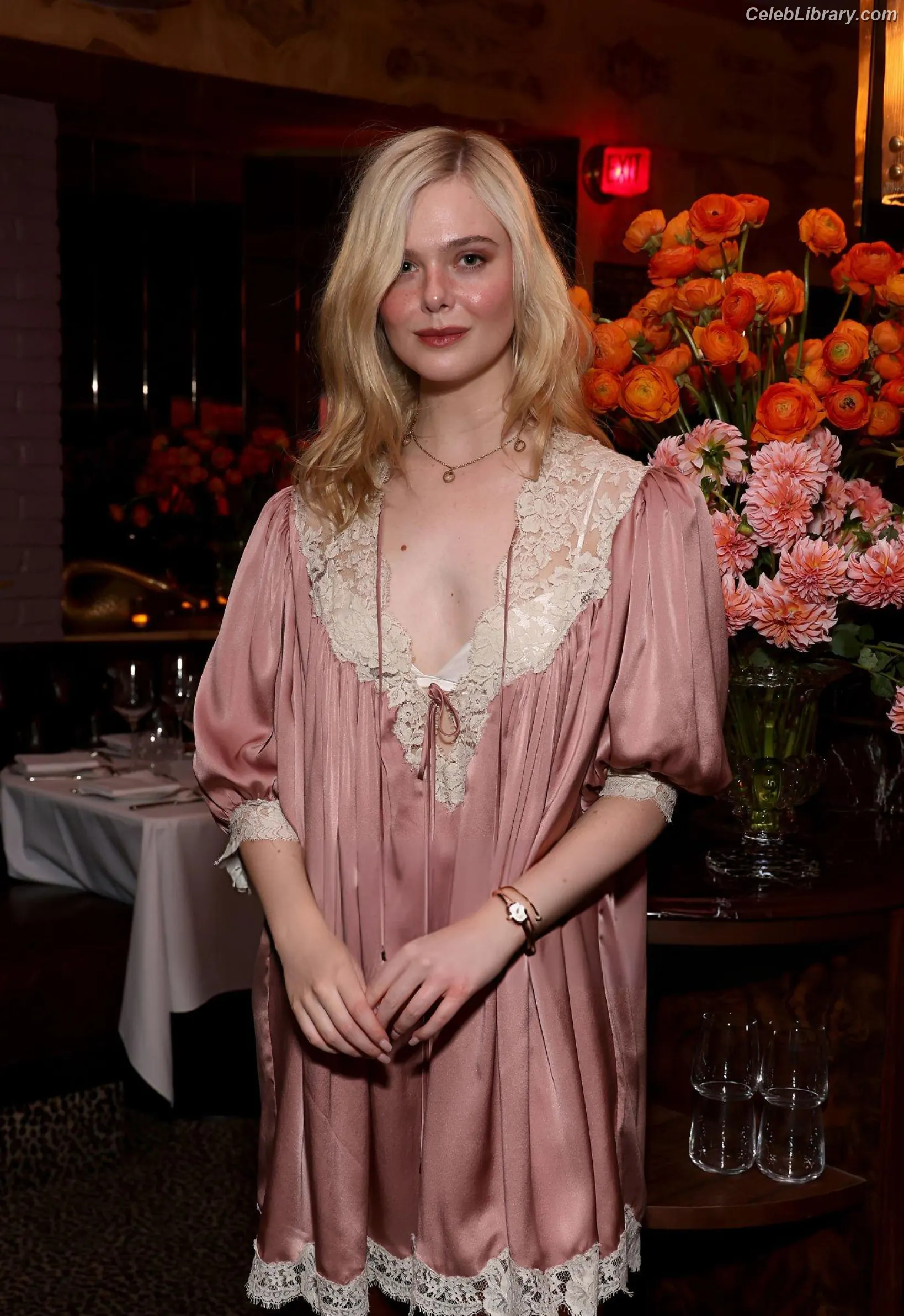 Elle Fanning photo 6 of 4118